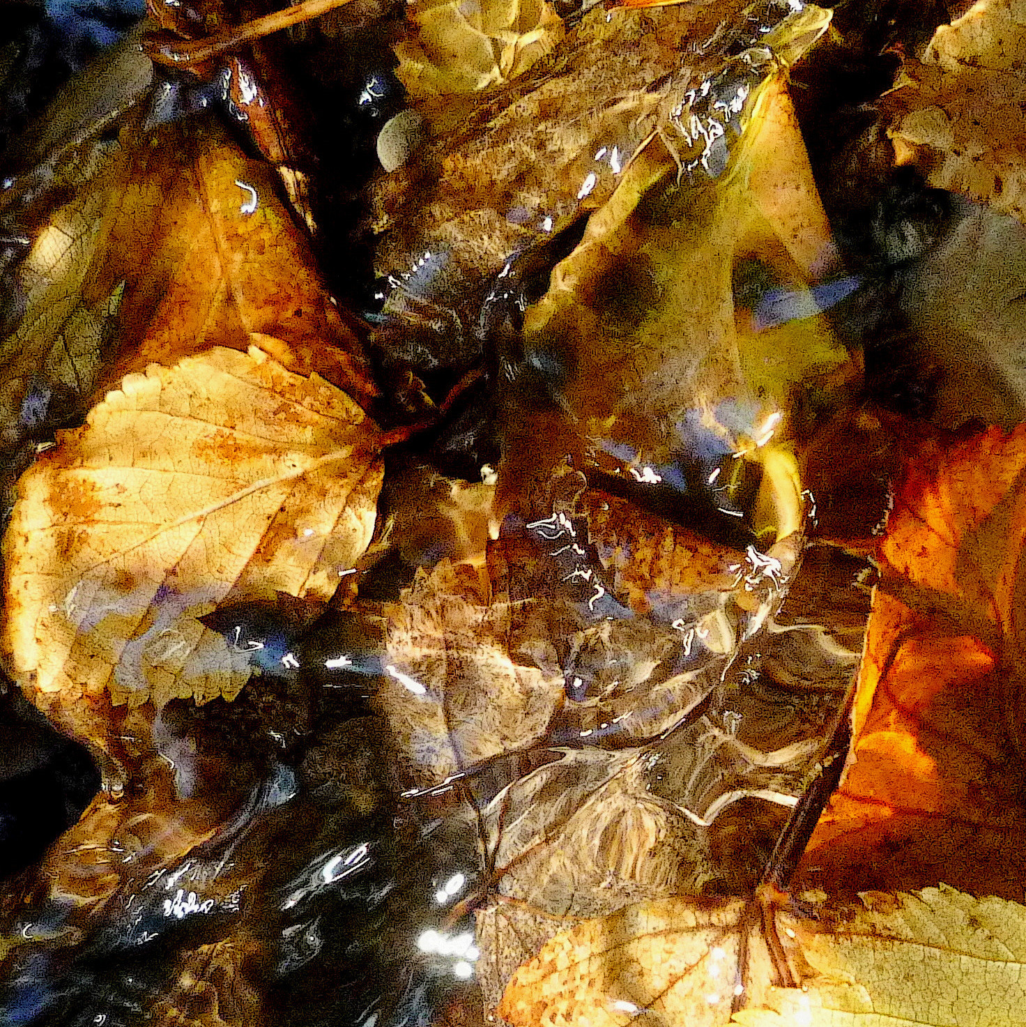 Panasonic DMC-LZ10 sample photo. A wintry, watery end photography