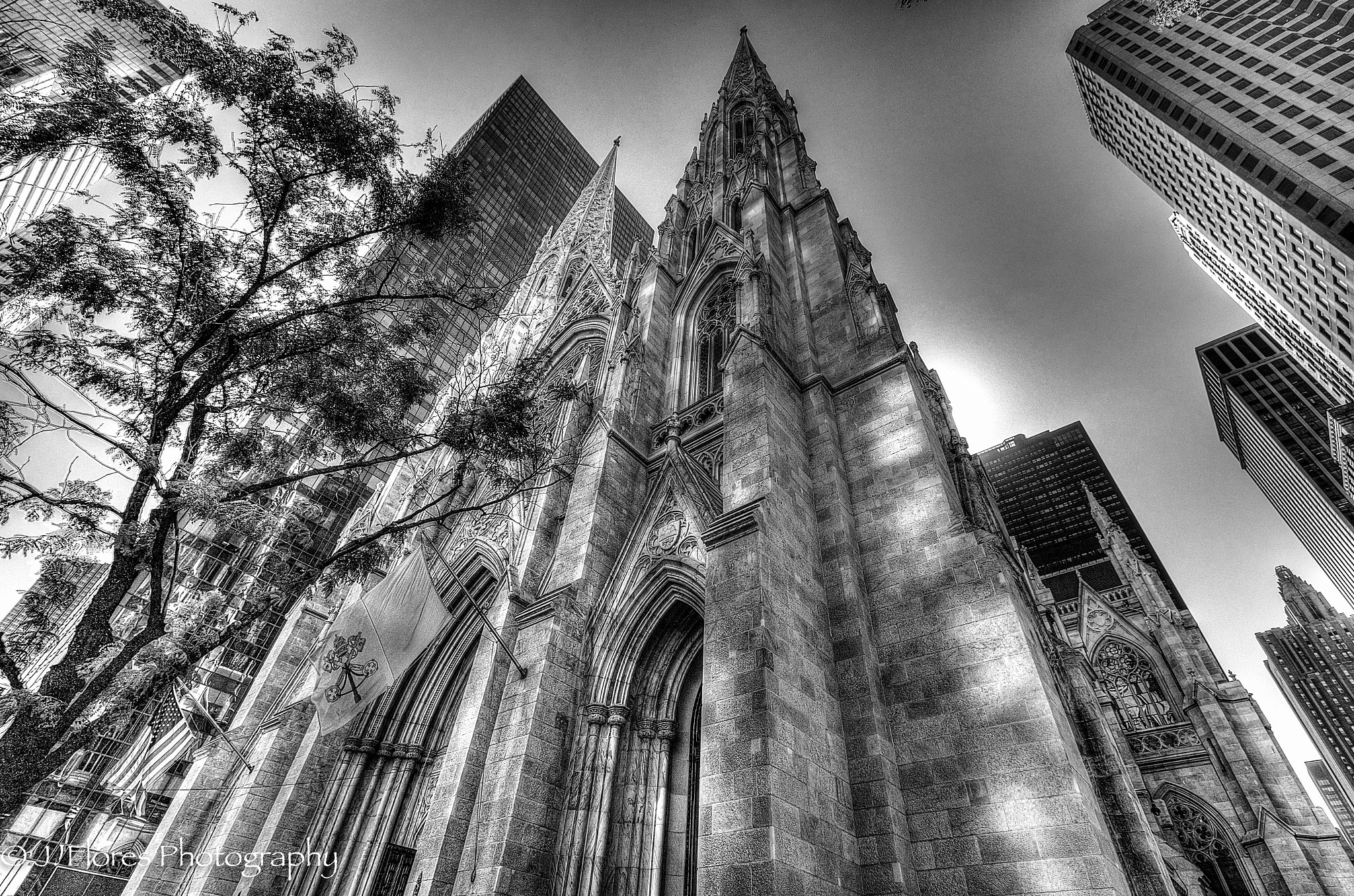 Canon EOS 7D Mark II + Canon EF-S 10-18mm F4.5–5.6 IS STM sample photo. St patricks cathedral photography