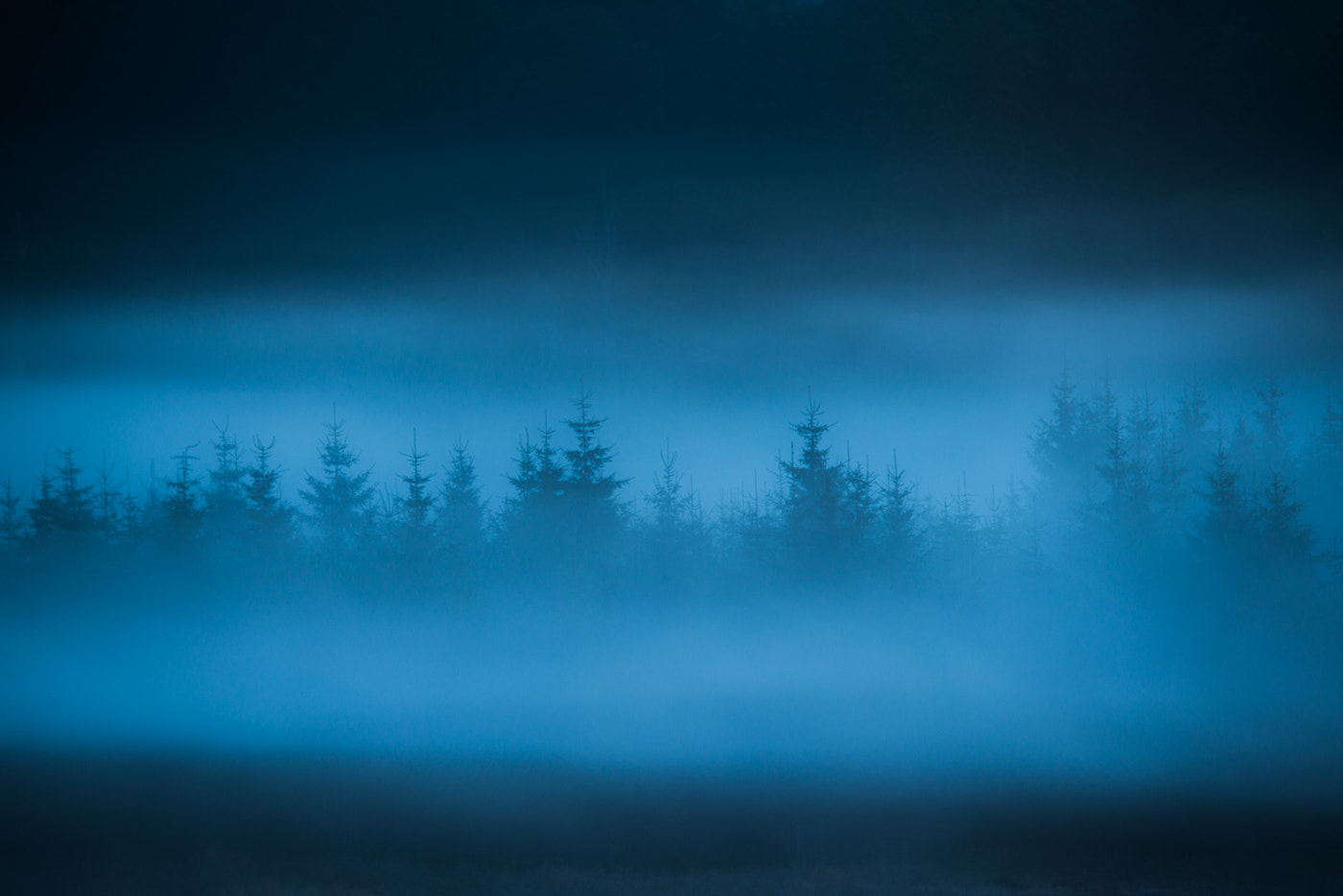 Nikon D800E sample photo. Dark night photography