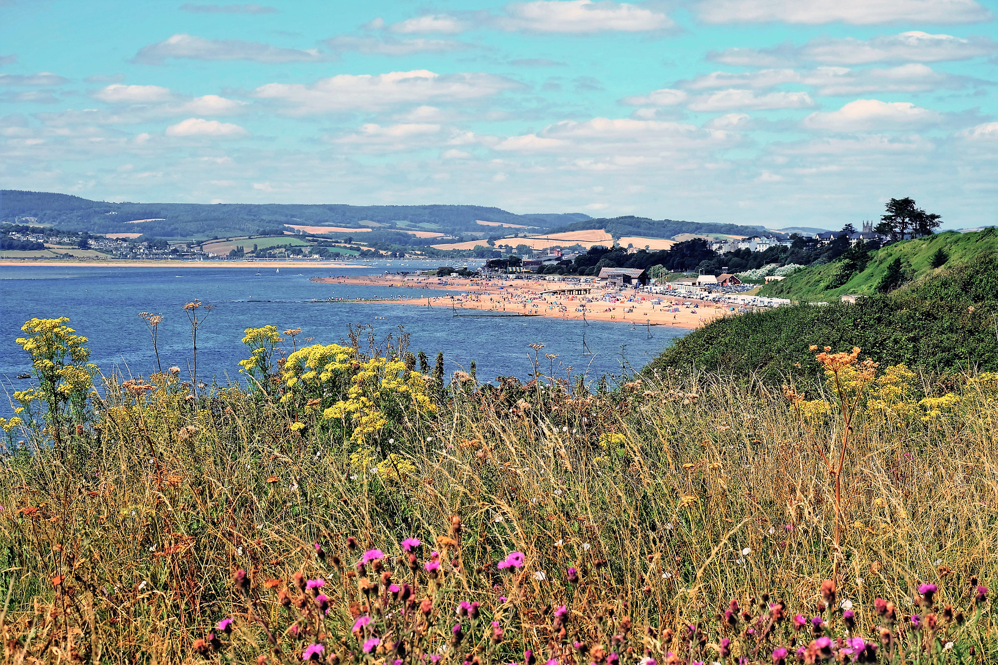 Fujifilm X-A2 + Fujifilm XC 50-230mm F4.5-6.7 OIS sample photo. Exmouth uk photography