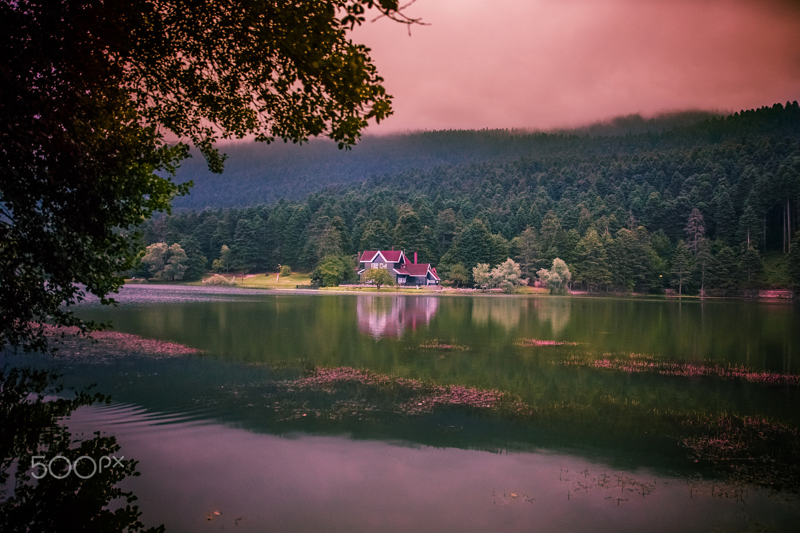 Sigma 24-70mm F2.8 EX DG Macro sample photo. Gölcük-bolu-turkey photography
