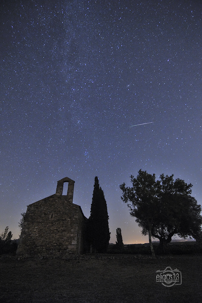 Nikon D300S sample photo. Perseids photography