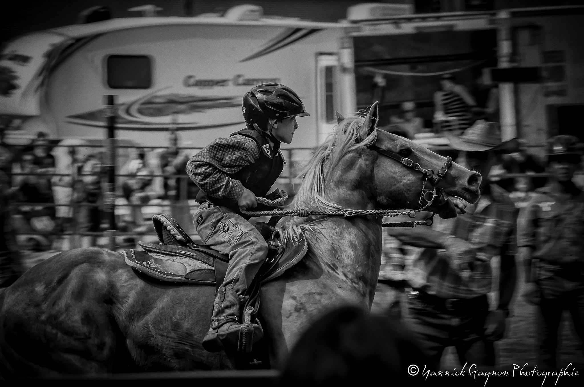 smc PENTAX-DA L 55-300mm F4-5.8 ED sample photo. Cheval photography