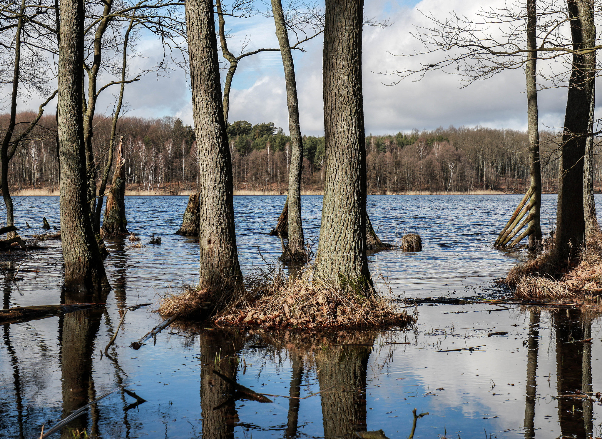 Canon EF 16-35mm F4L IS USM sample photo. 7t5a4665.jpg photography