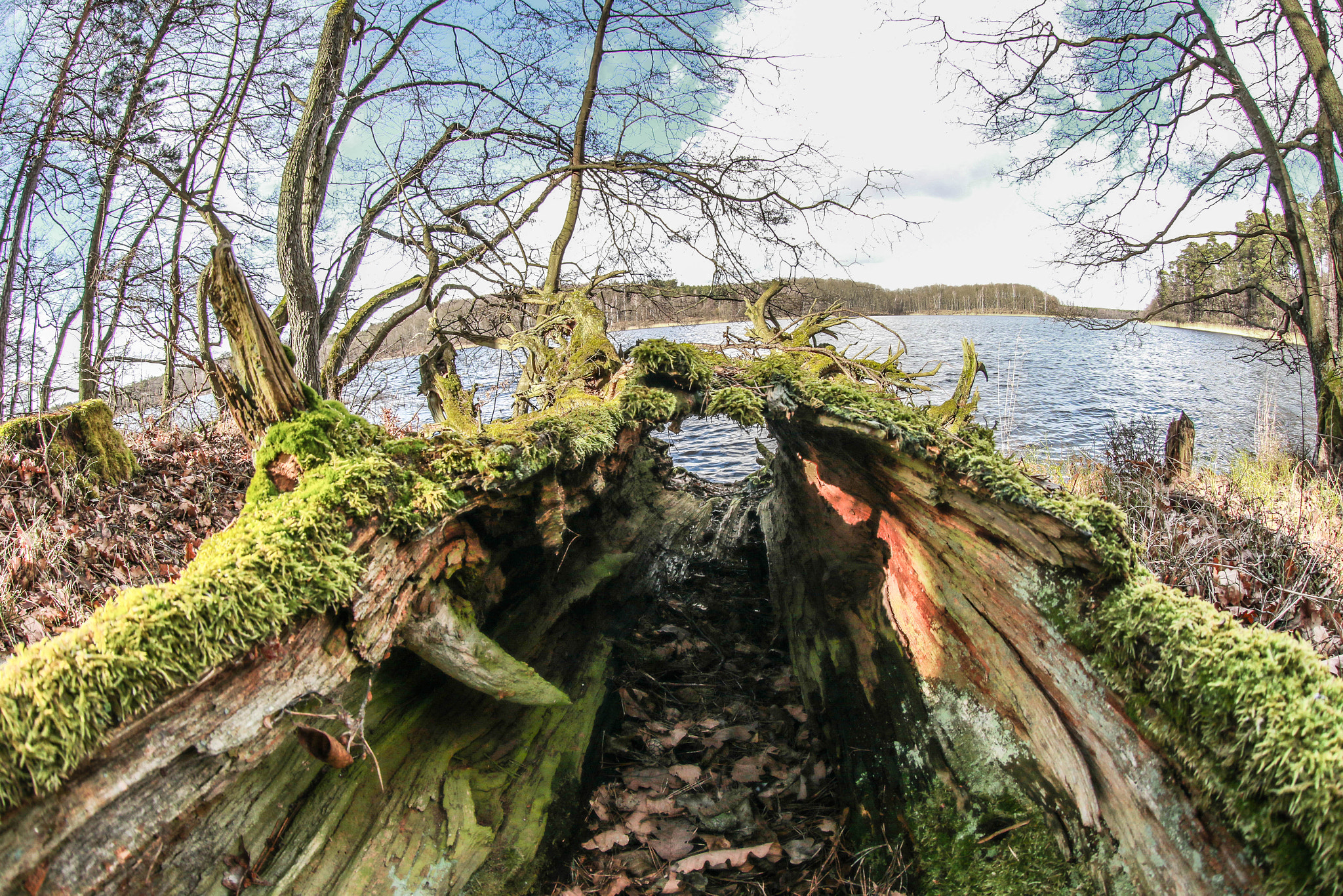Canon EF 8-15mm F4L Fisheye USM sample photo. 7t5a4721.jpg photography