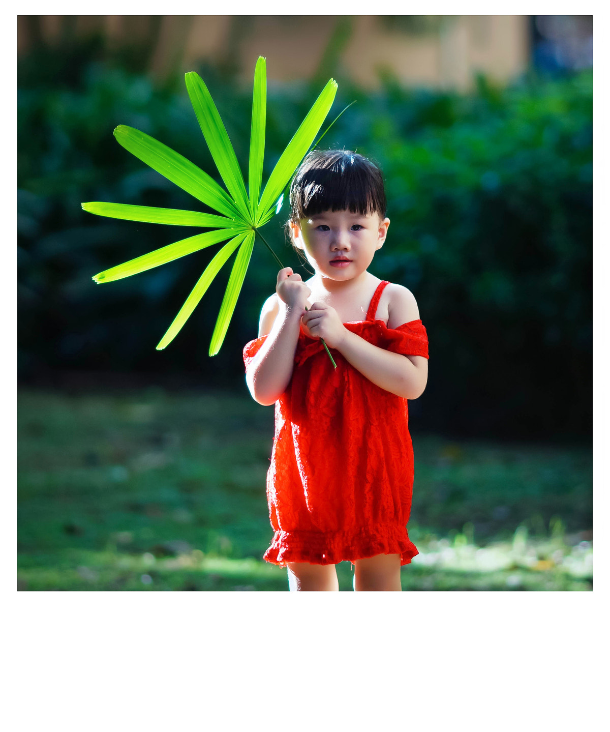 Sony Sonnar T* 135mm F1.8 ZA sample photo. 副本 photography