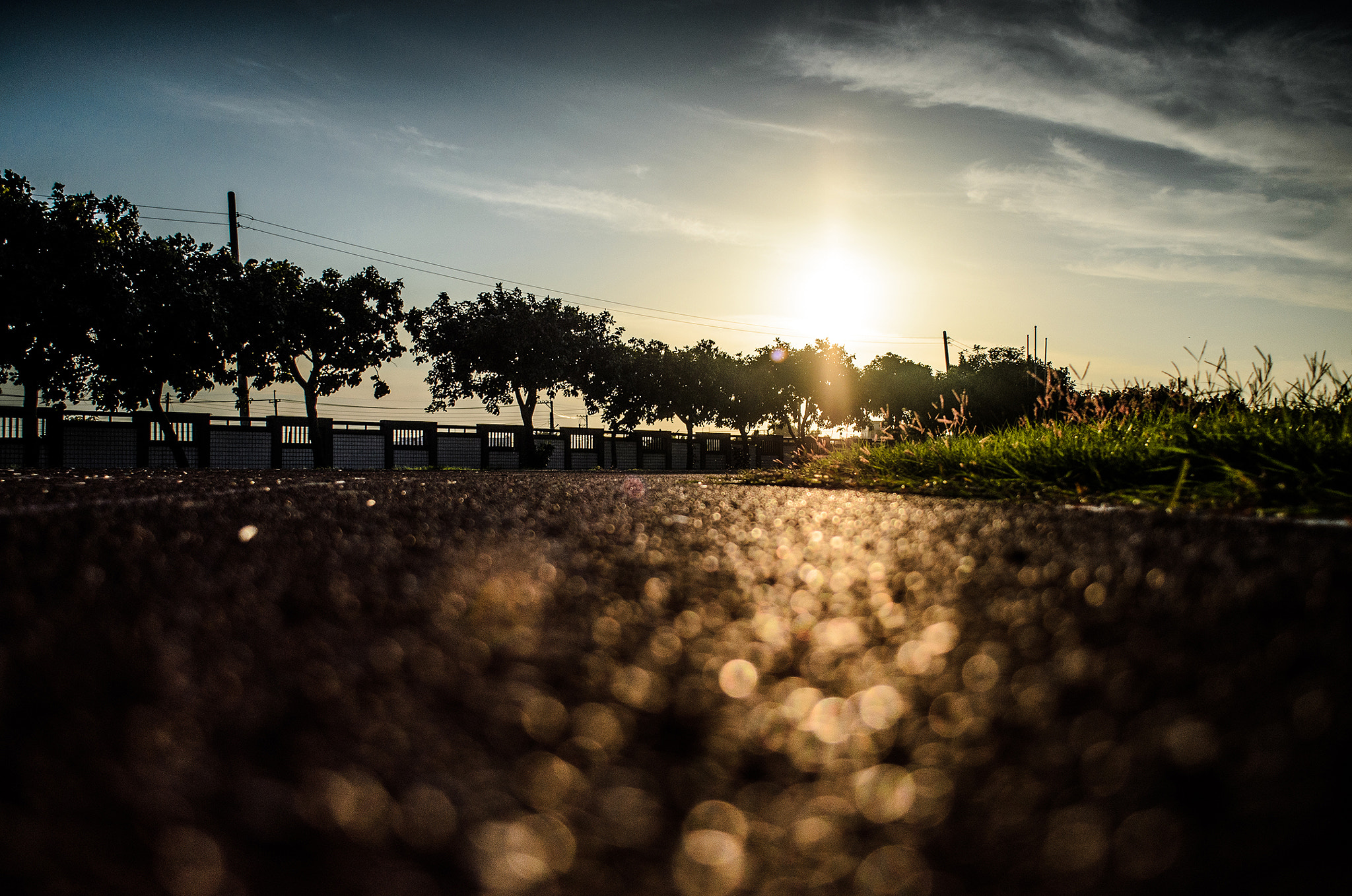 Nikon AF Nikkor 24mm F2.8D sample photo. _chs9047.jpg photography