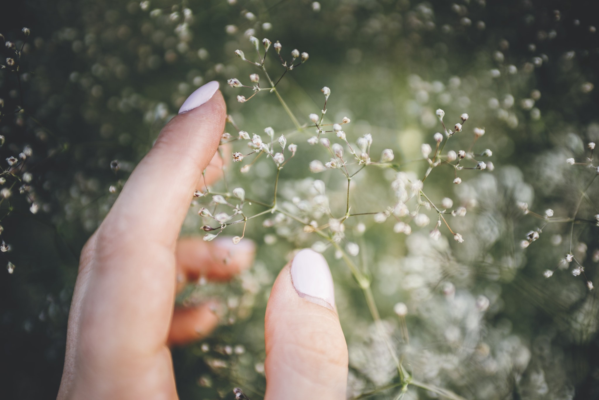 Nikon D600 + AF Zoom-Nikkor 35-70mm f/2.8D sample photo. Summer moments.jpg photography