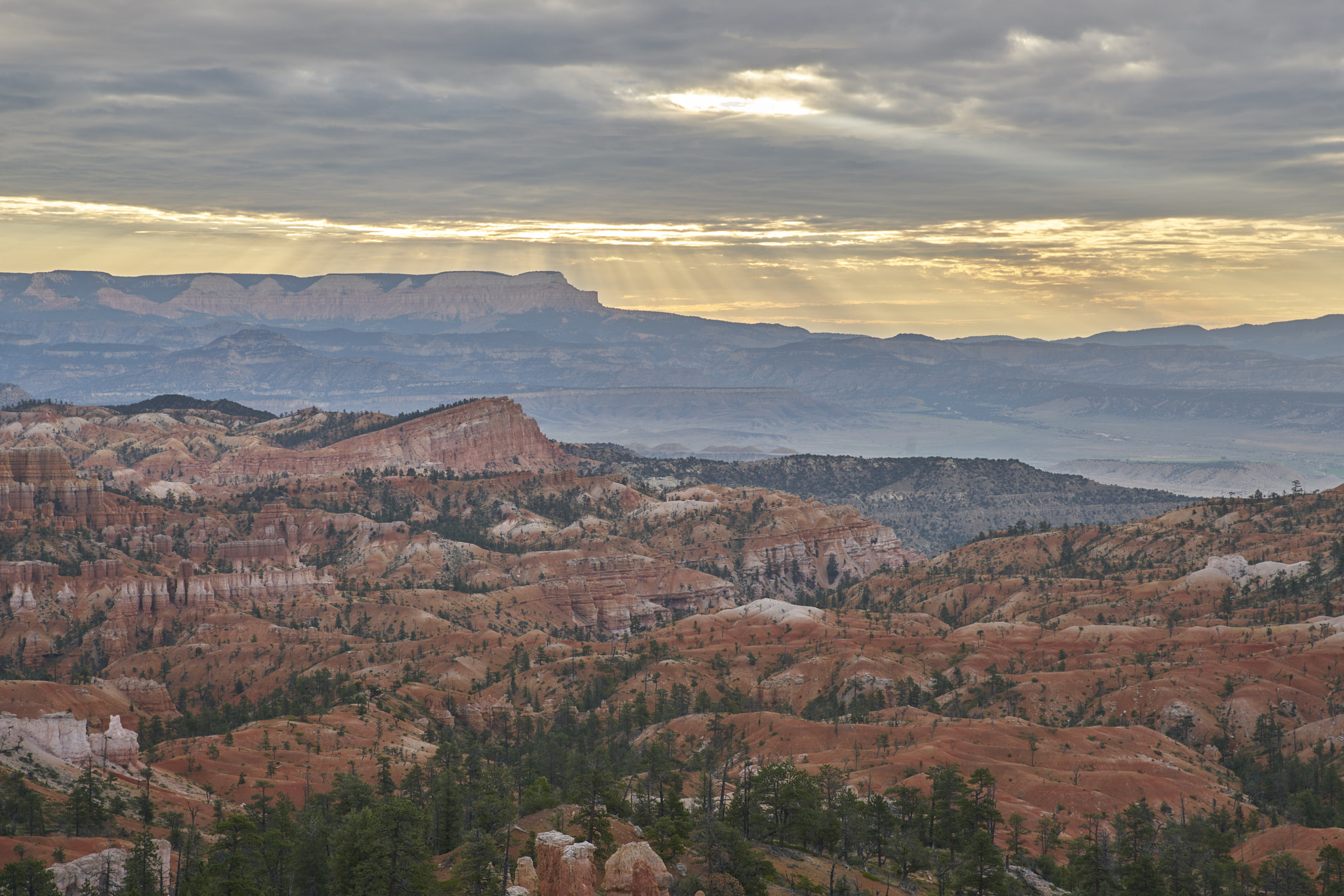 Sony a7R II + 24-70mm F2.8 G SSM II sample photo. Crack of dawn photography