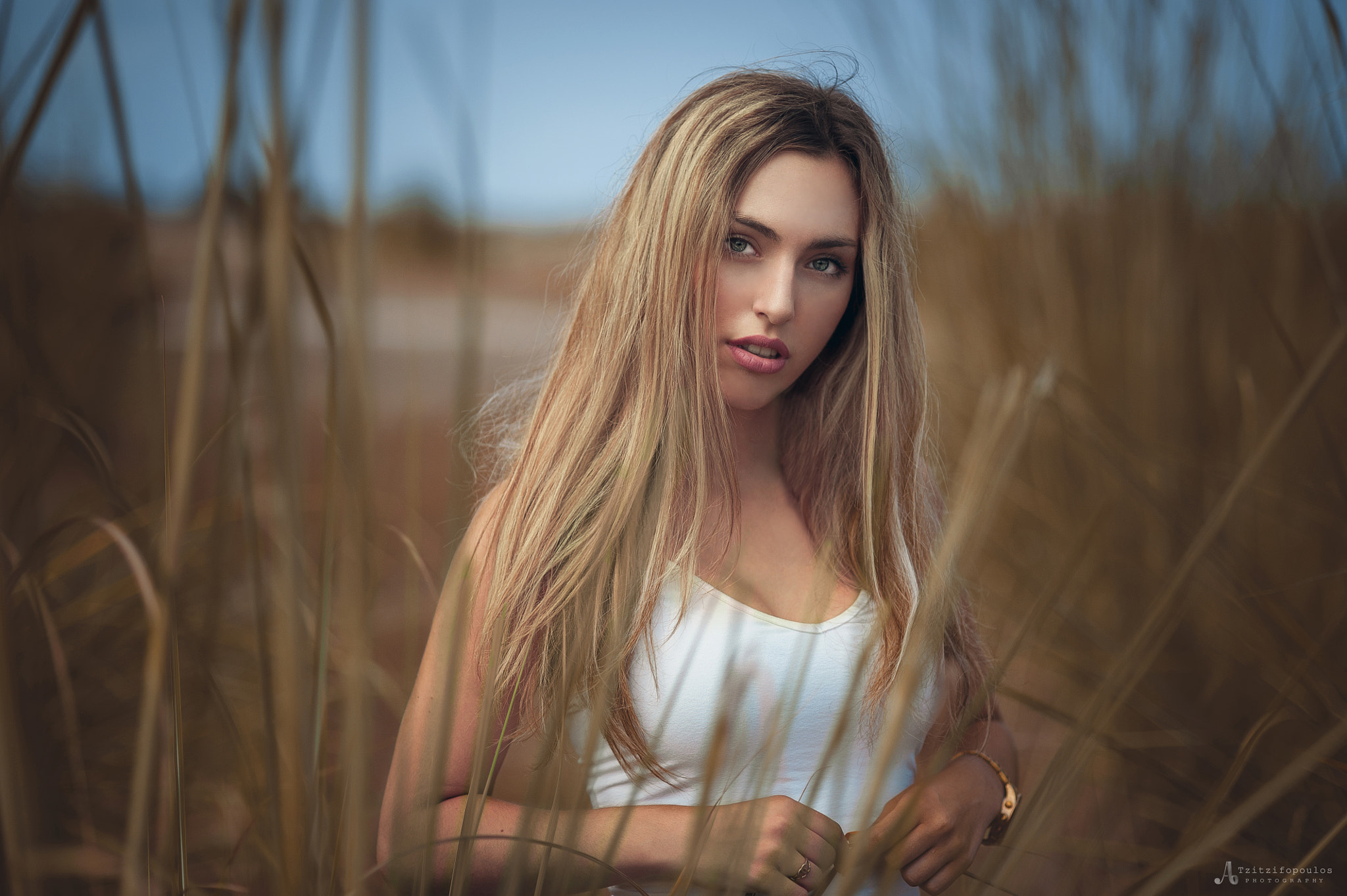 Nikon D3 + AF Nikkor 85mm f/1.8 sample photo. Niki photography