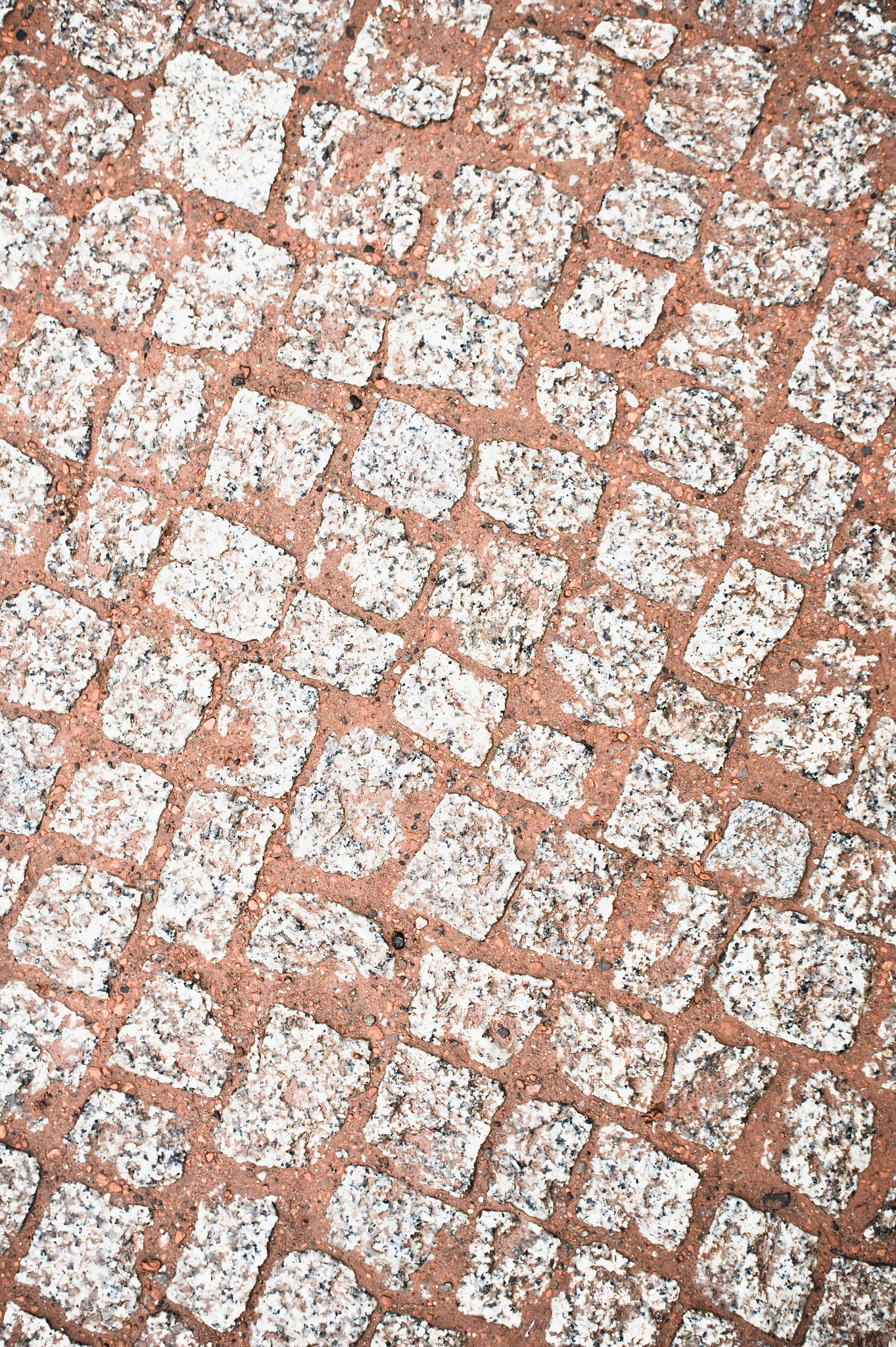 Sony Alpha NEX-5 + Sony E 30mm F3.5 Macro sample photo. Paving tiles photography