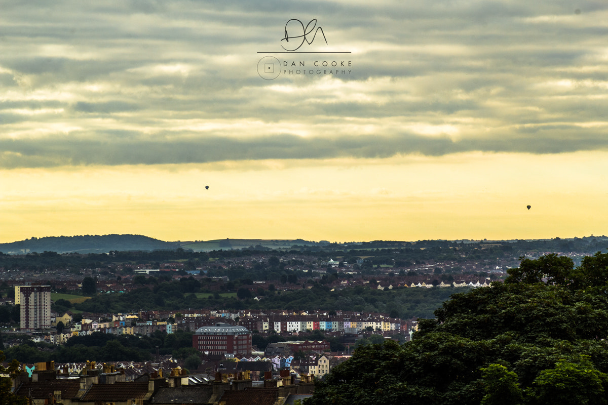 Canon EF 75-300mm f/4-5.6 USM sample photo. Going it alone photography