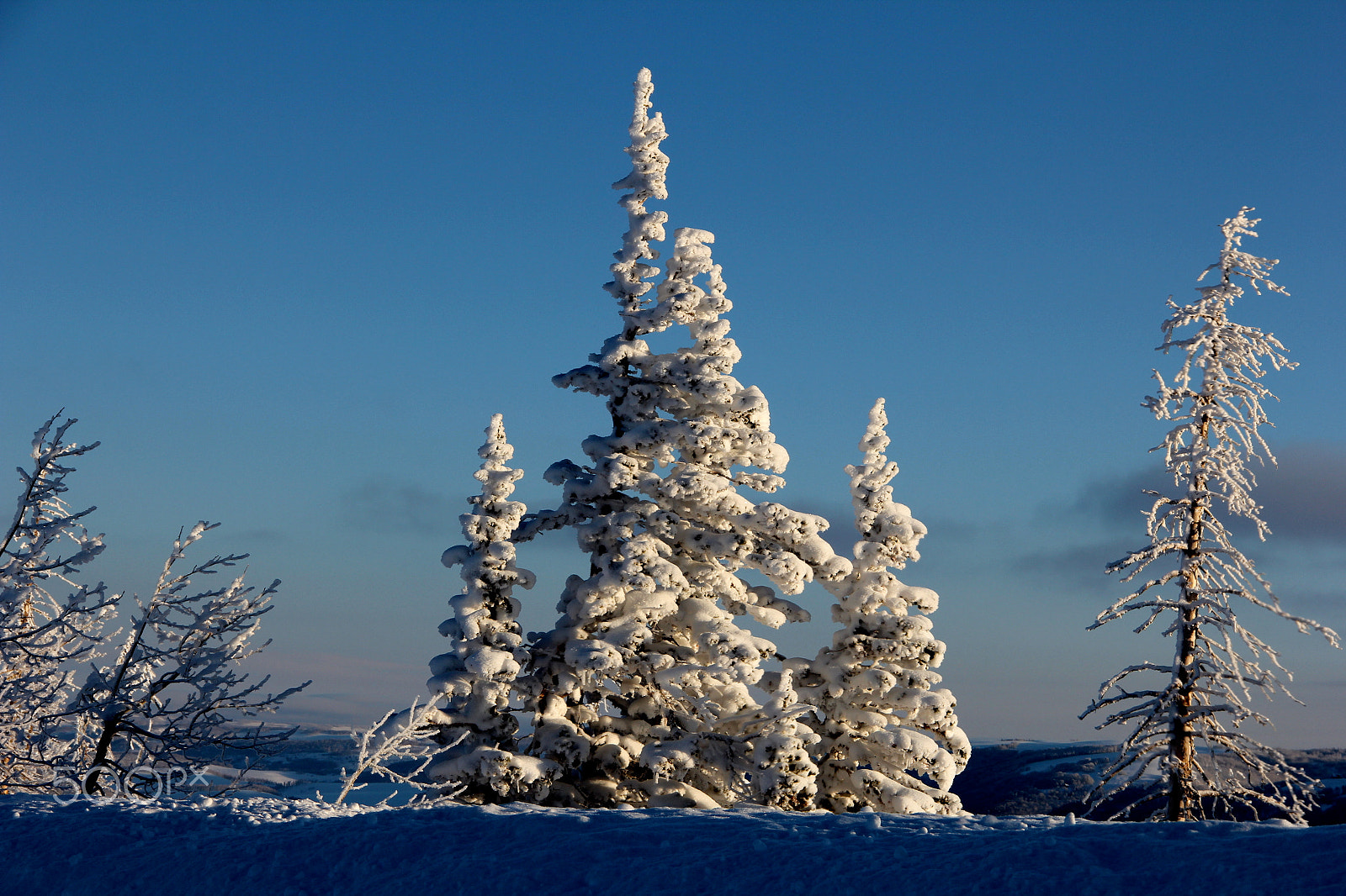 Canon EOS 60D + Canon EF-S 18-135mm F3.5-5.6 IS sample photo. Three pines photography