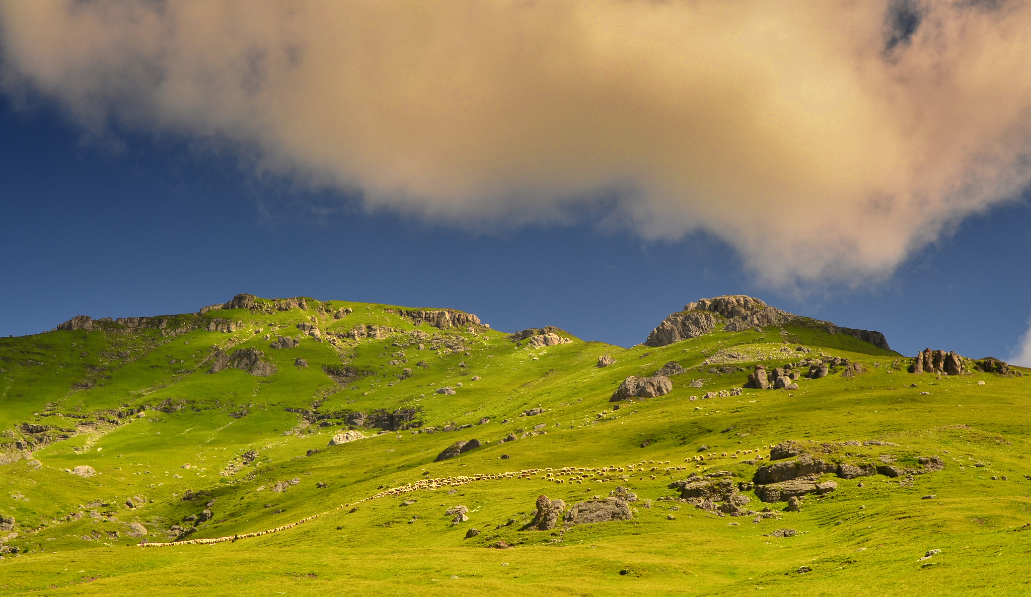 Nikon D5100 + Sigma 18-50mm F2.8-4.5 DC OS HSM sample photo. Bucegi mountains photography