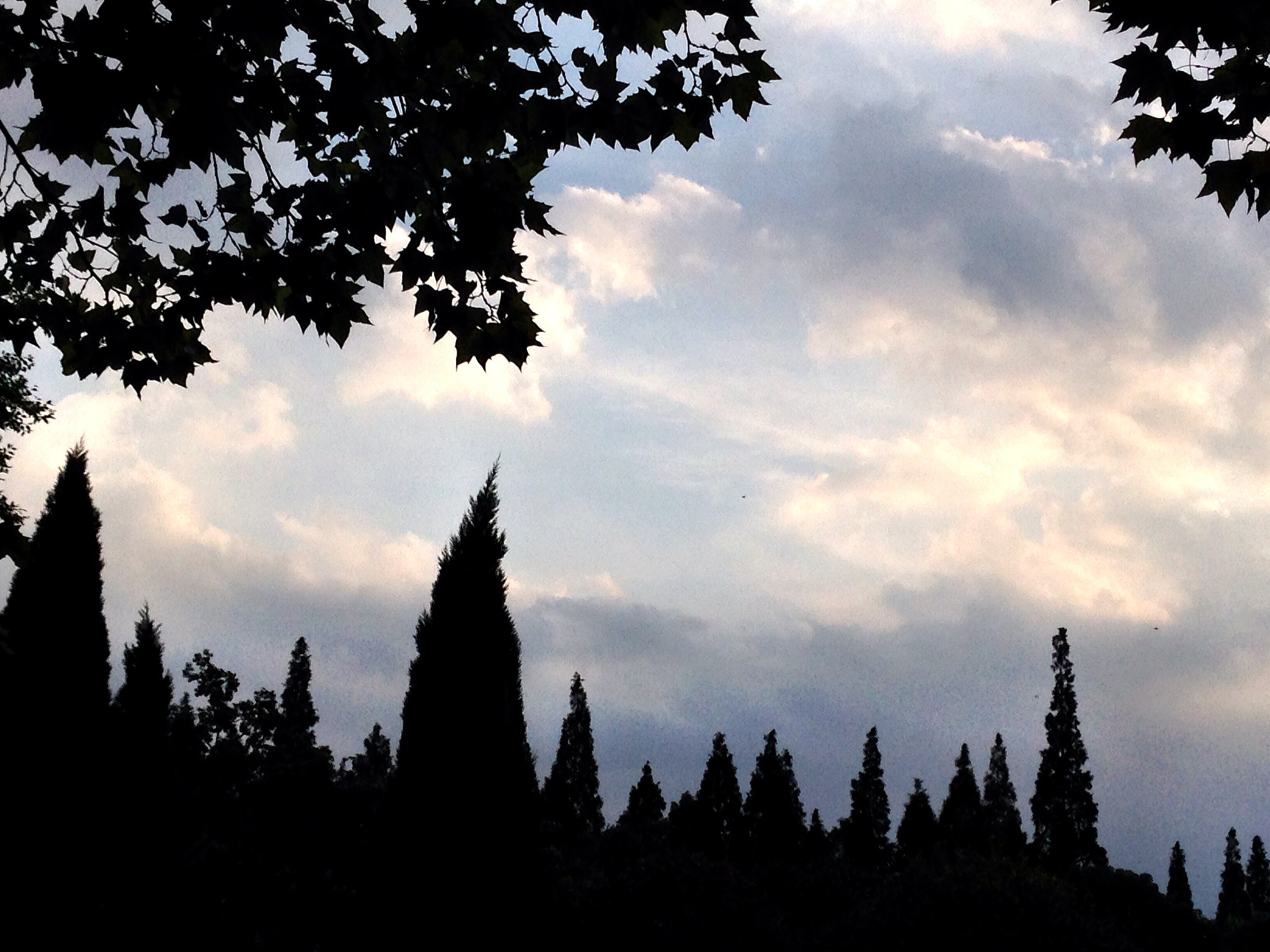 Apple iPhone5,2 sample photo. At dust 黄昏 photography