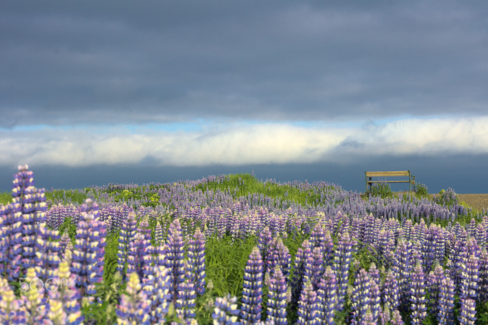 Sony E 18-55mm F3.5-5.6 OSS sample photo. Somewhere on iceland photography