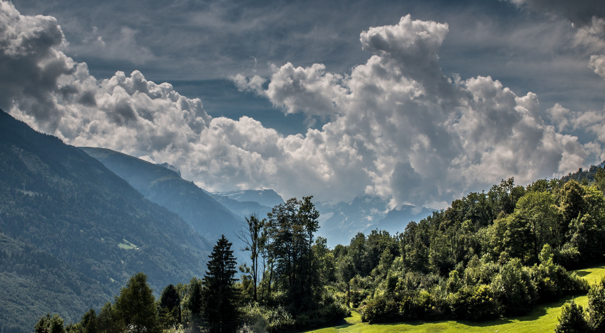 Canon EOS 70D + Canon EF 35mm F1.4L USM sample photo. Afternoon meadow breeze ii photography