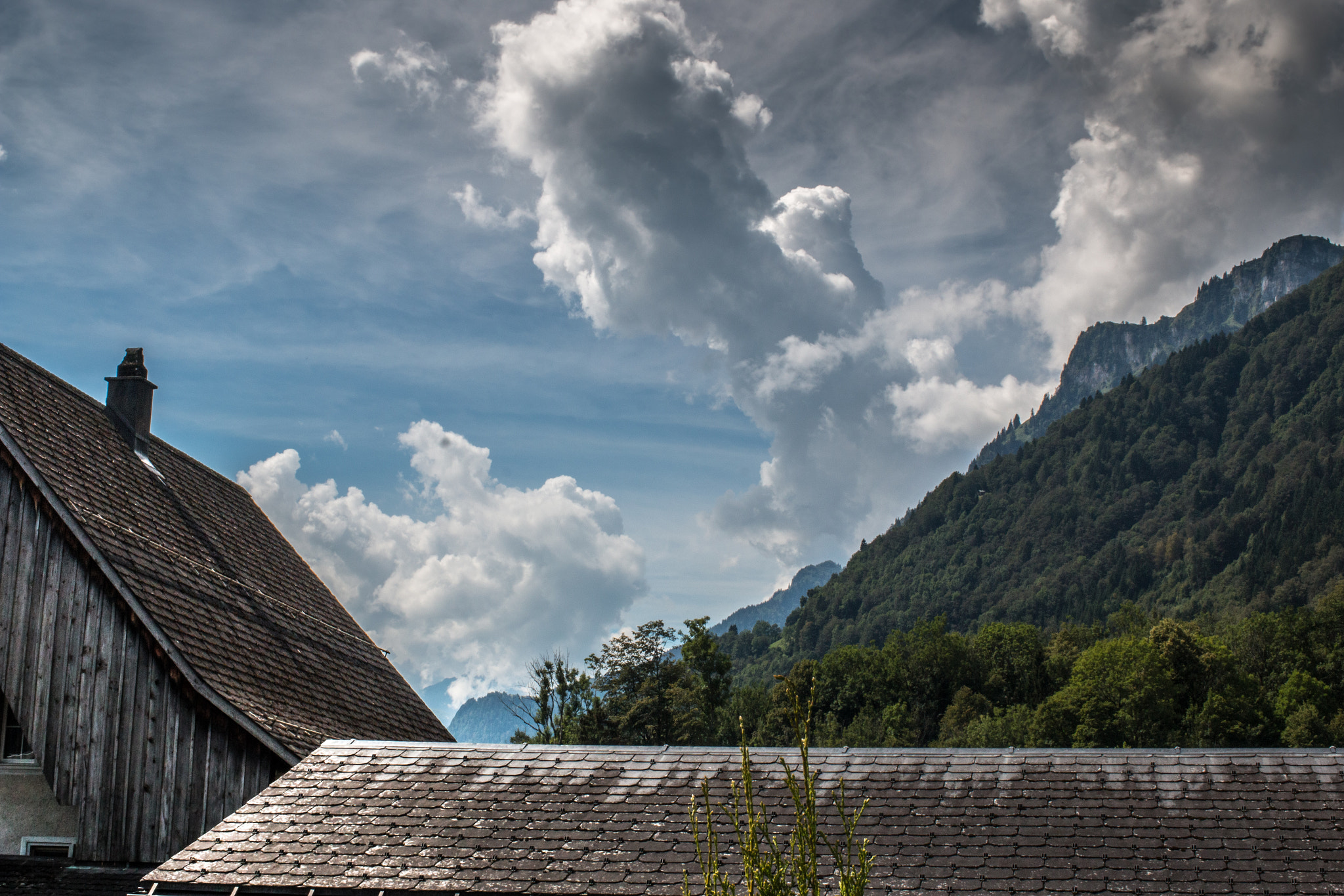 Canon EOS 70D + Canon EF 35mm F1.4L USM sample photo. Afternoon meadow breeze photography