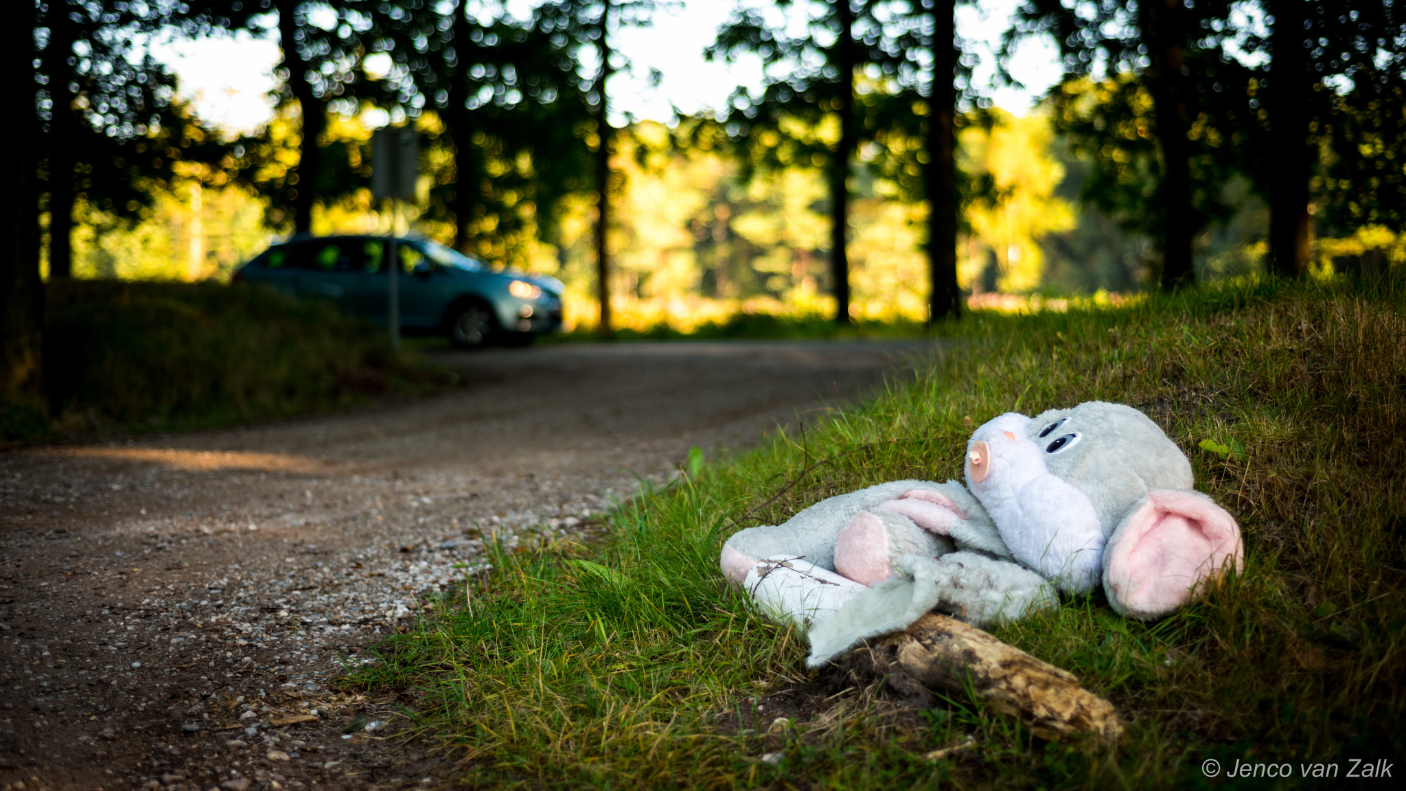 Nikon D800 + AF Nikkor 50mm f/1.8 sample photo. Left behind at the roadside photography