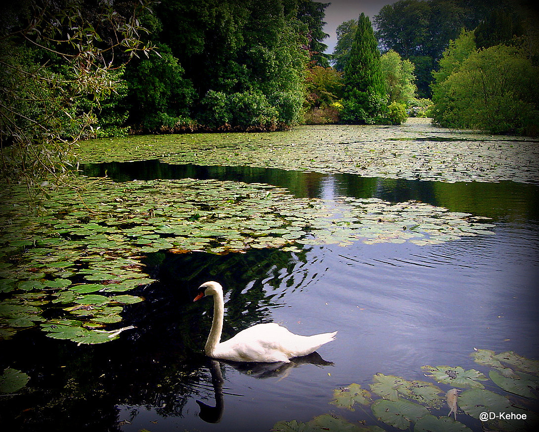 Sony DSC-L1 sample photo. Beautiful nature photography