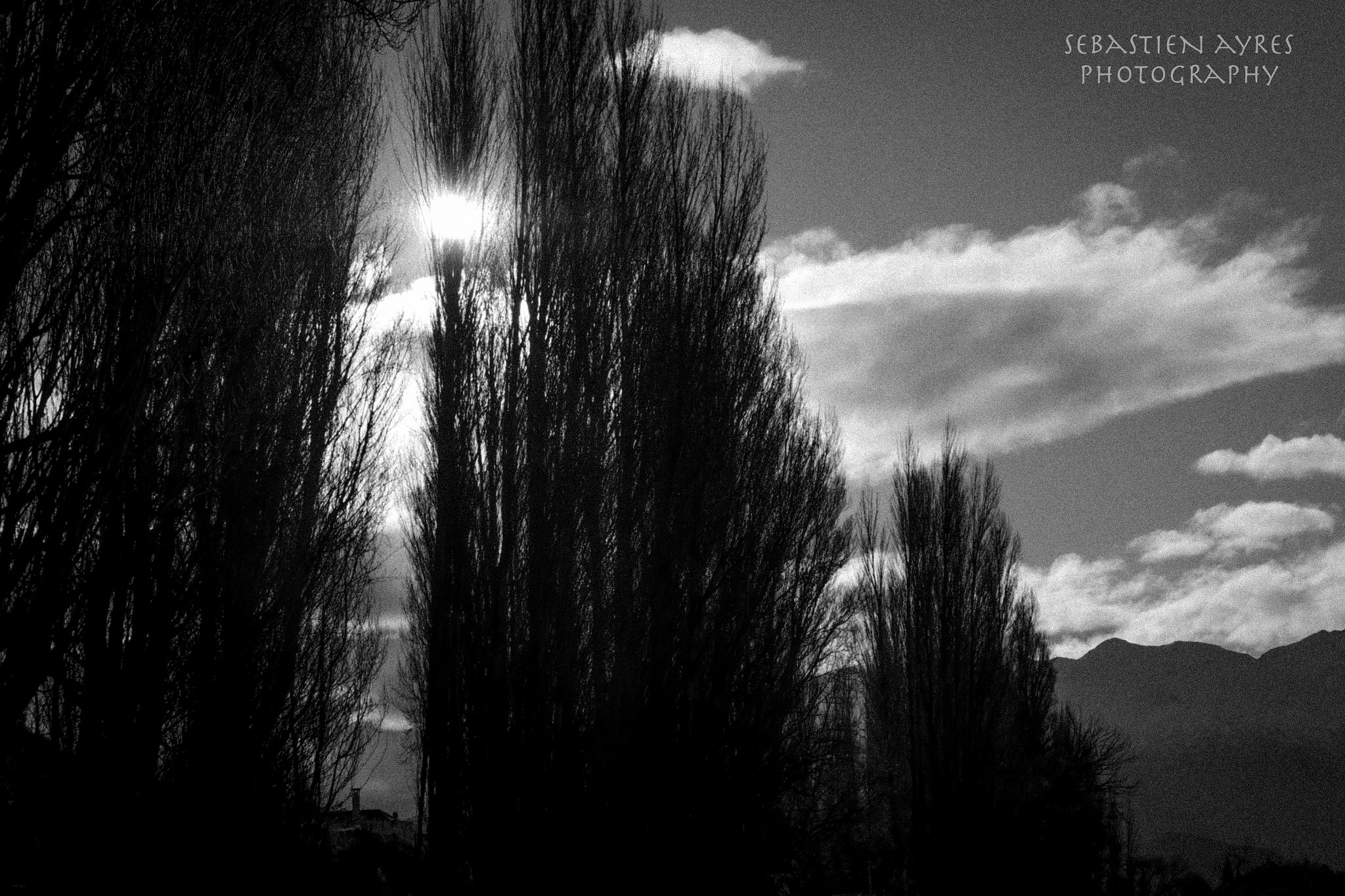 Pentax K-S2 sample photo. Black forest photography