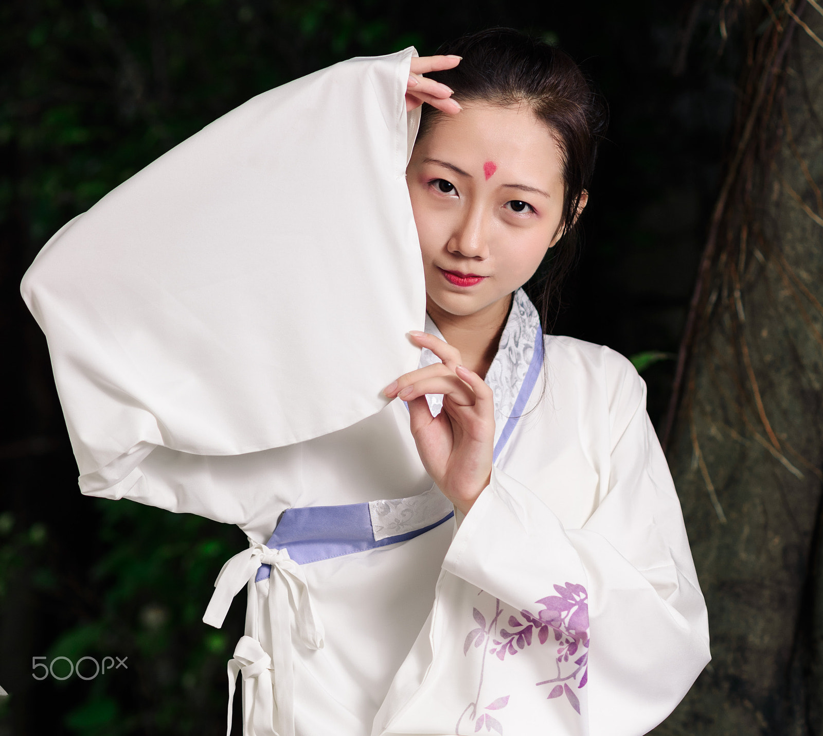 Nikon D750 + Nikon AF Nikkor 105mm F2D DC sample photo. Ancient dress of china photography