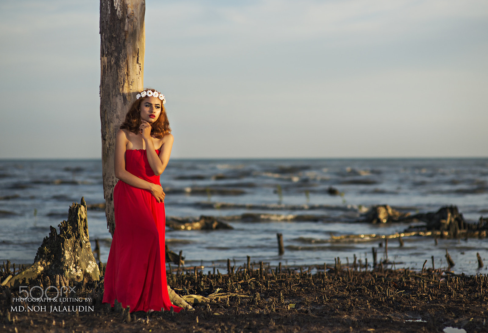 Nikon D800E + Sigma 85mm F1.4 EX DG HSM sample photo. Beauty at the beach photography