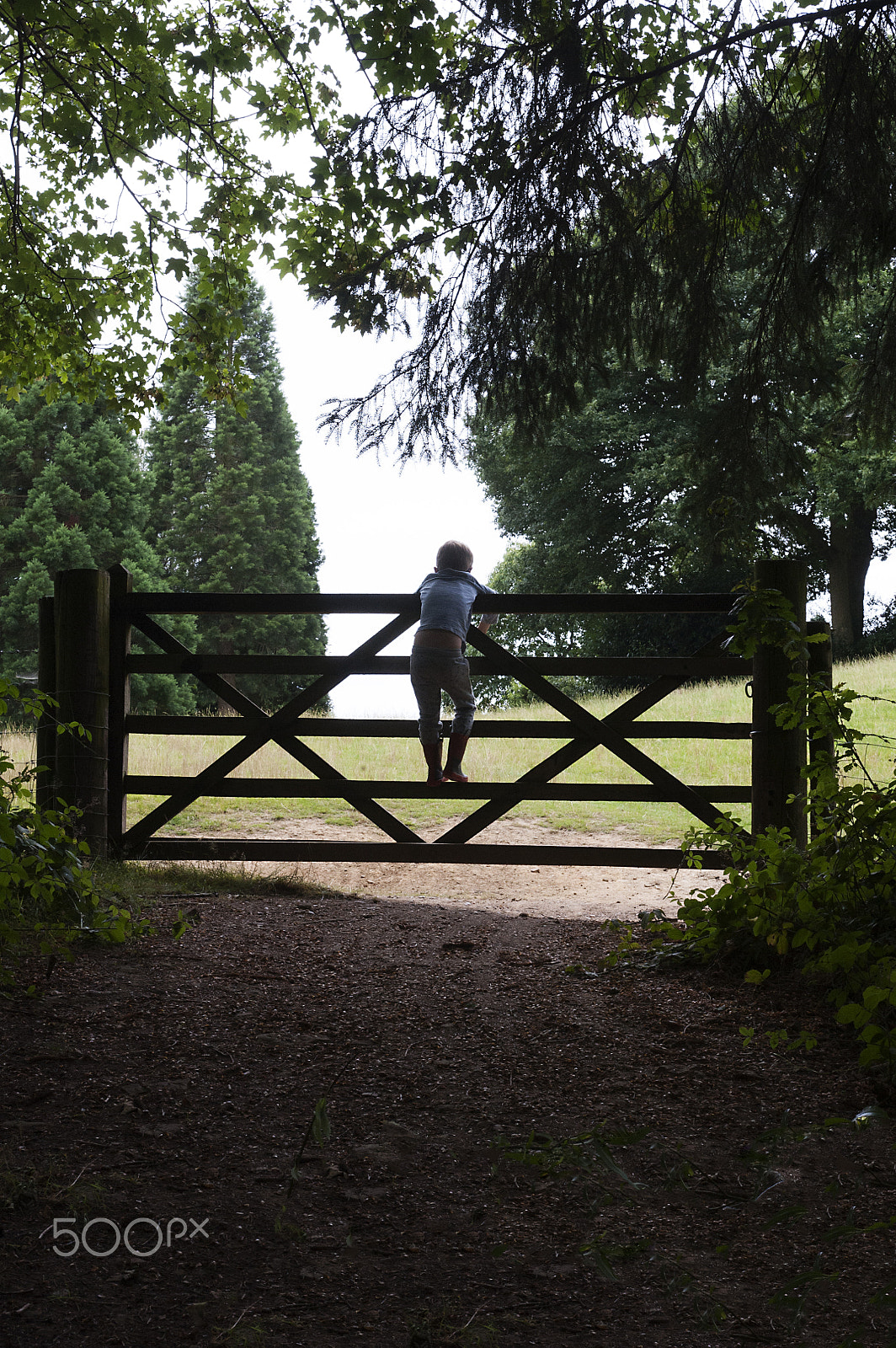 AF Zoom-Nikkor 35-70mm f/2.8D sample photo. The grass is always greener photography