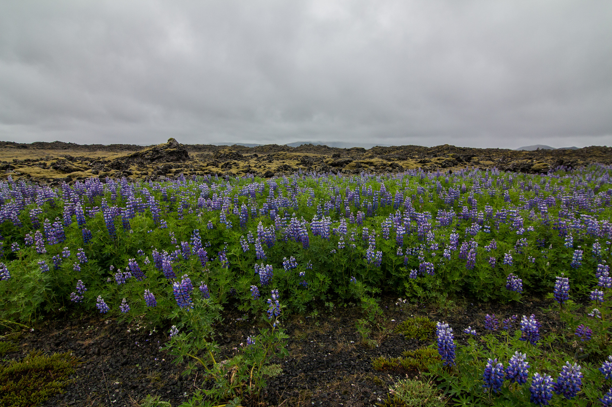 Canon EOS 650D (EOS Rebel T4i / EOS Kiss X6i) sample photo. Icelandic landscape 2 photography