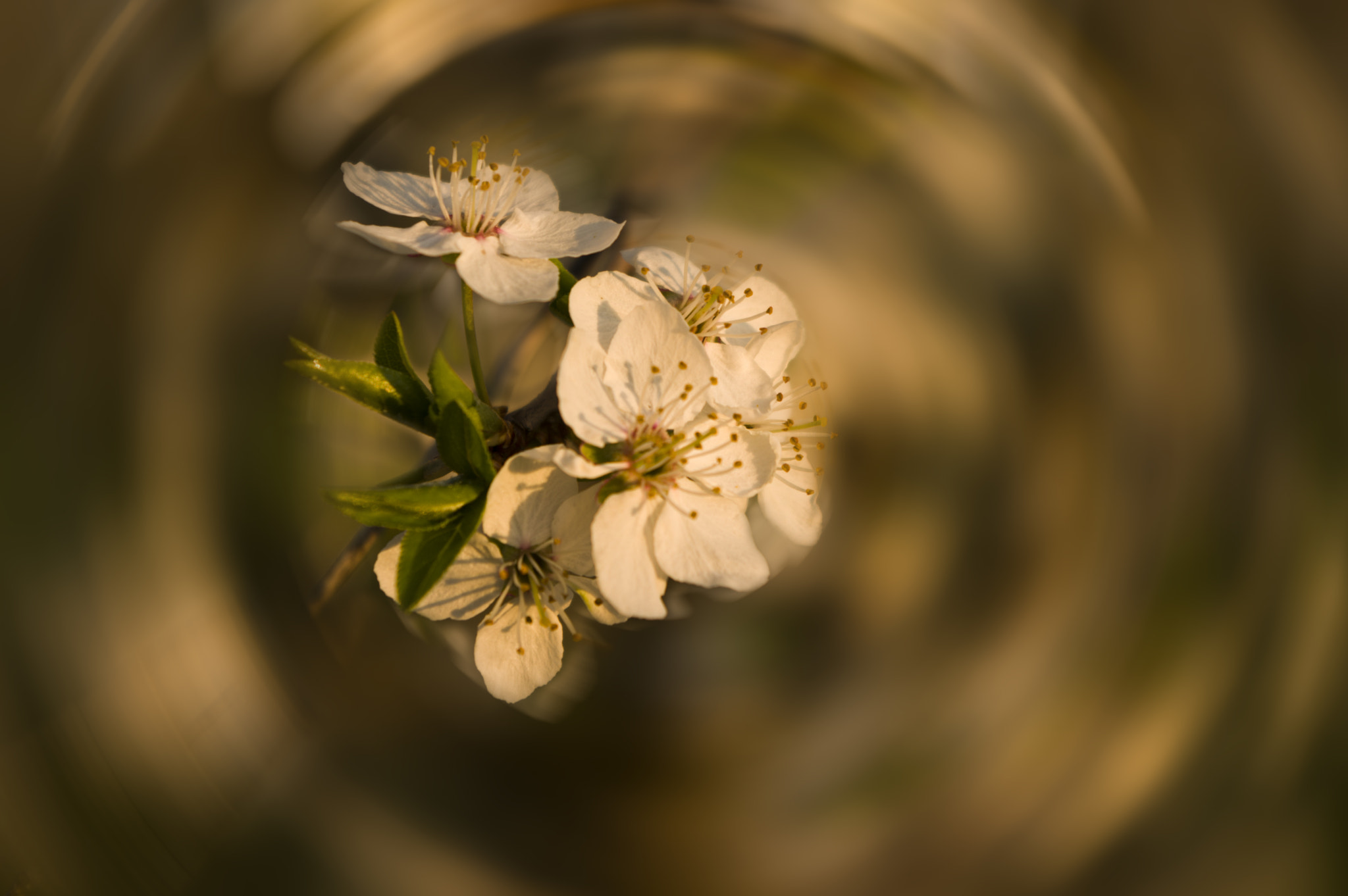 Pentax K-3 II sample photo. Летнее настроение photography