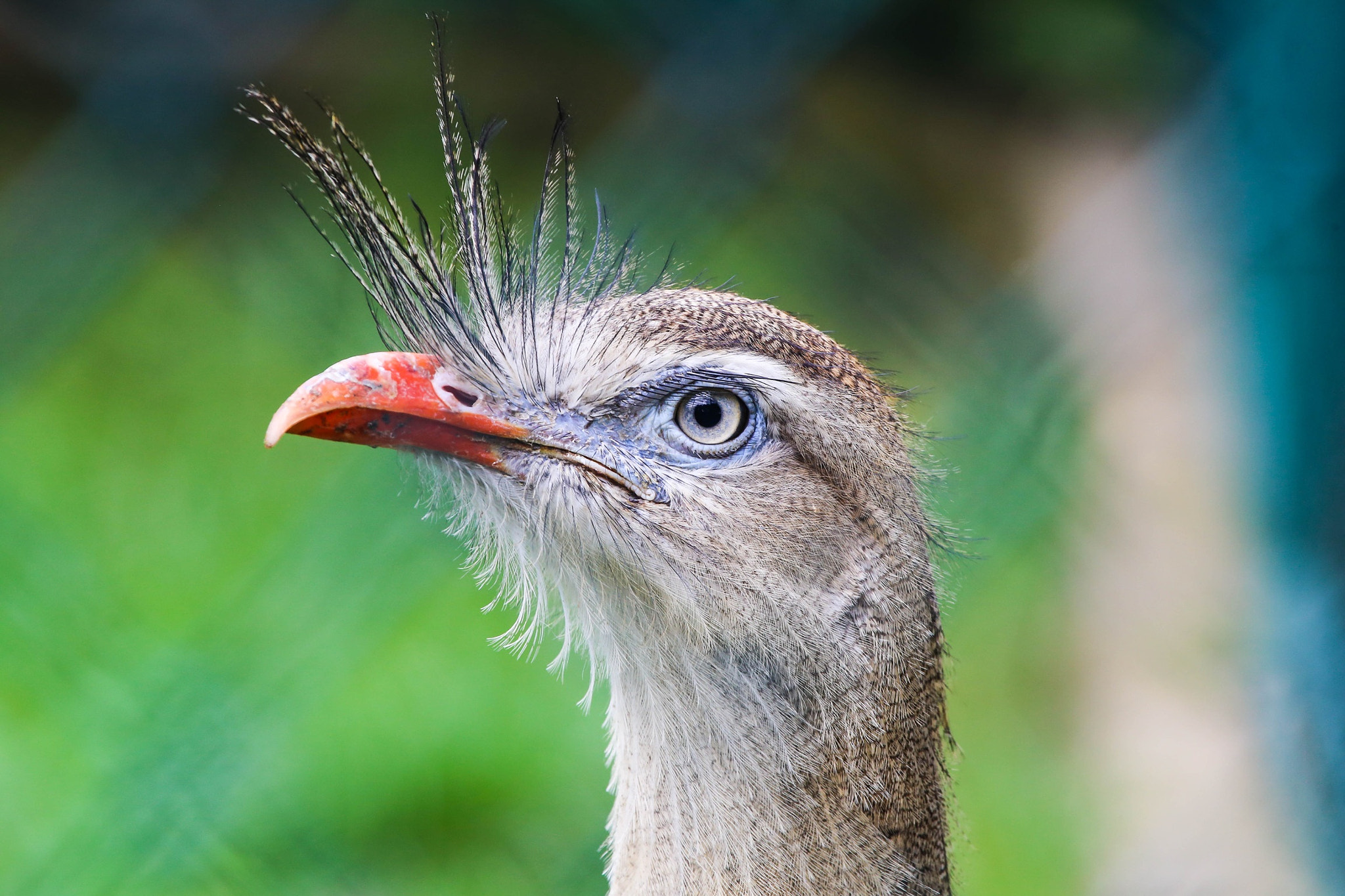 Canon EF 100-400mm F4.5-5.6L IS USM sample photo