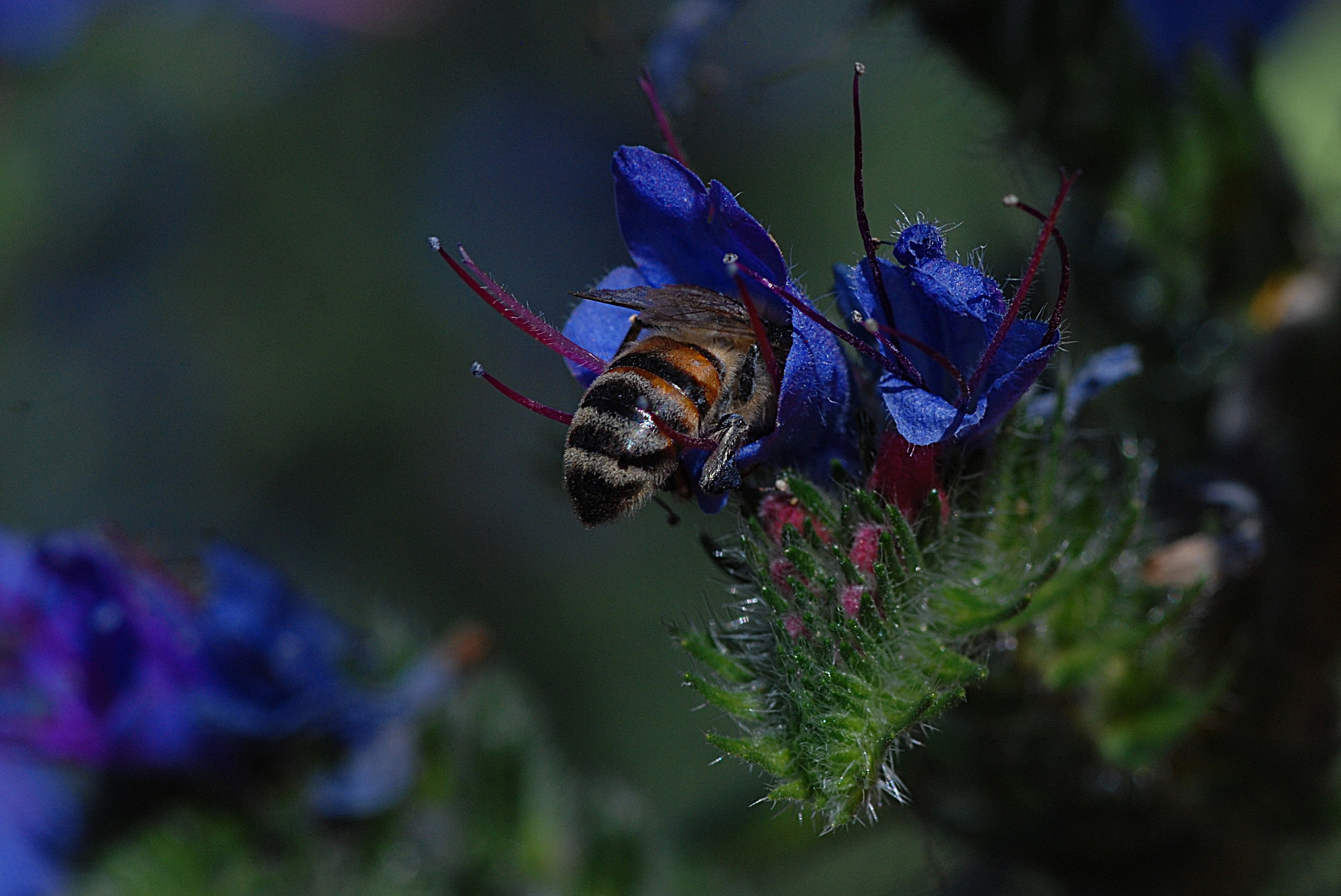 Nikon D80 sample photo. Rızık peşinde photography