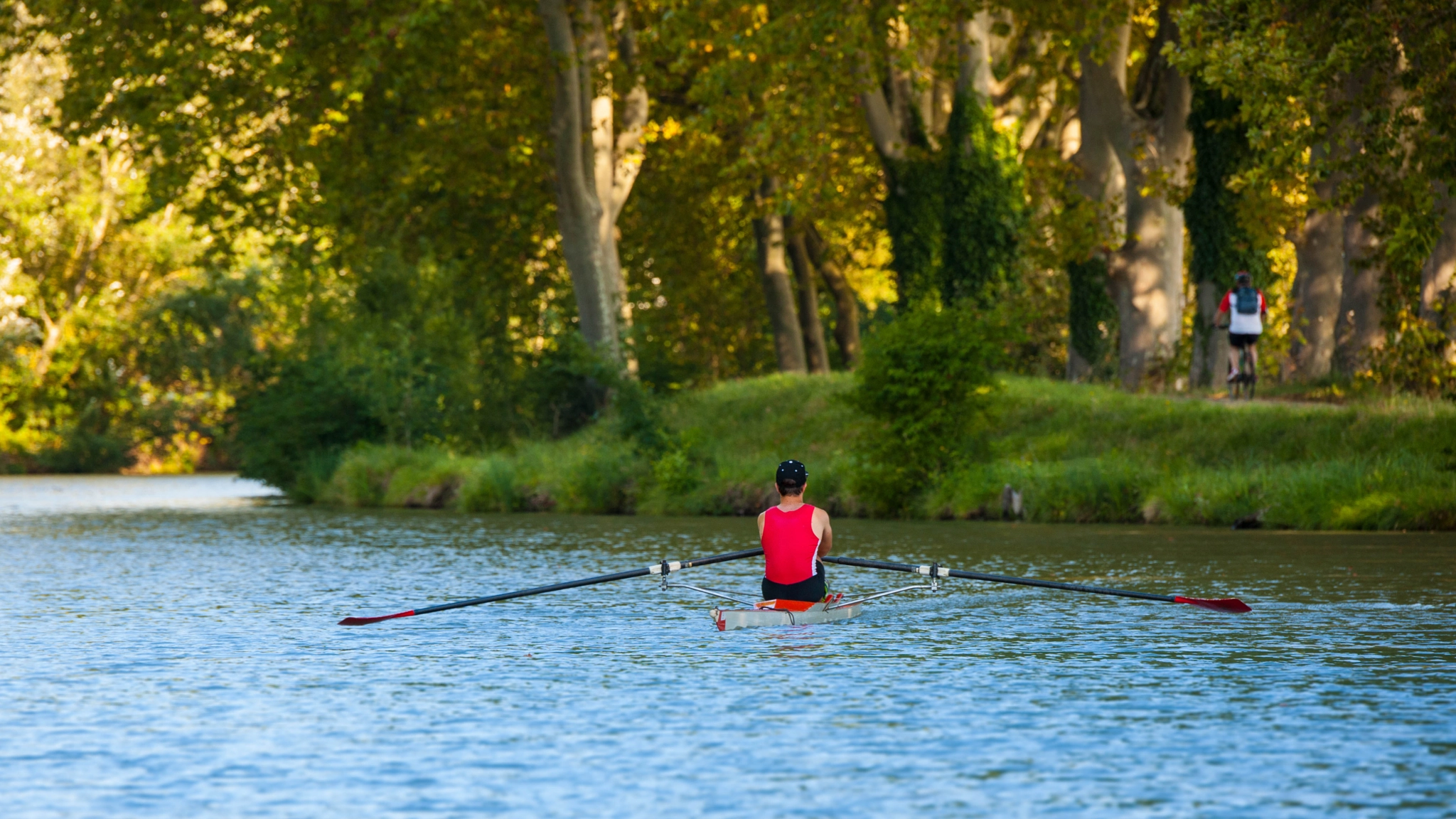 Nikon D3X sample photo. Rowing photography