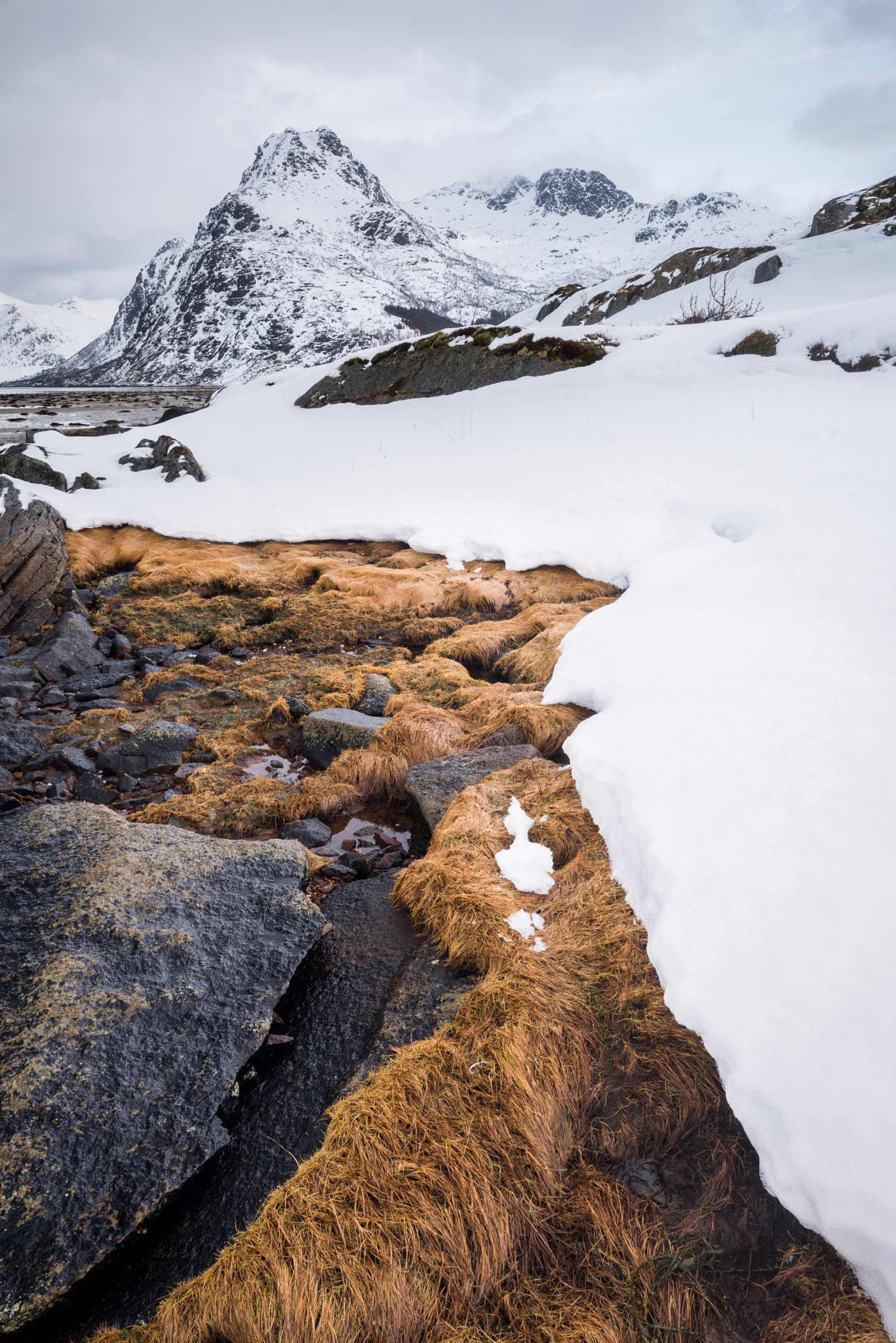 Nikon D810 + Nikon PC-E Nikkor 24mm F3.5D ED Tilt-Shift sample photo. Flakstad fjord banks #1 photography