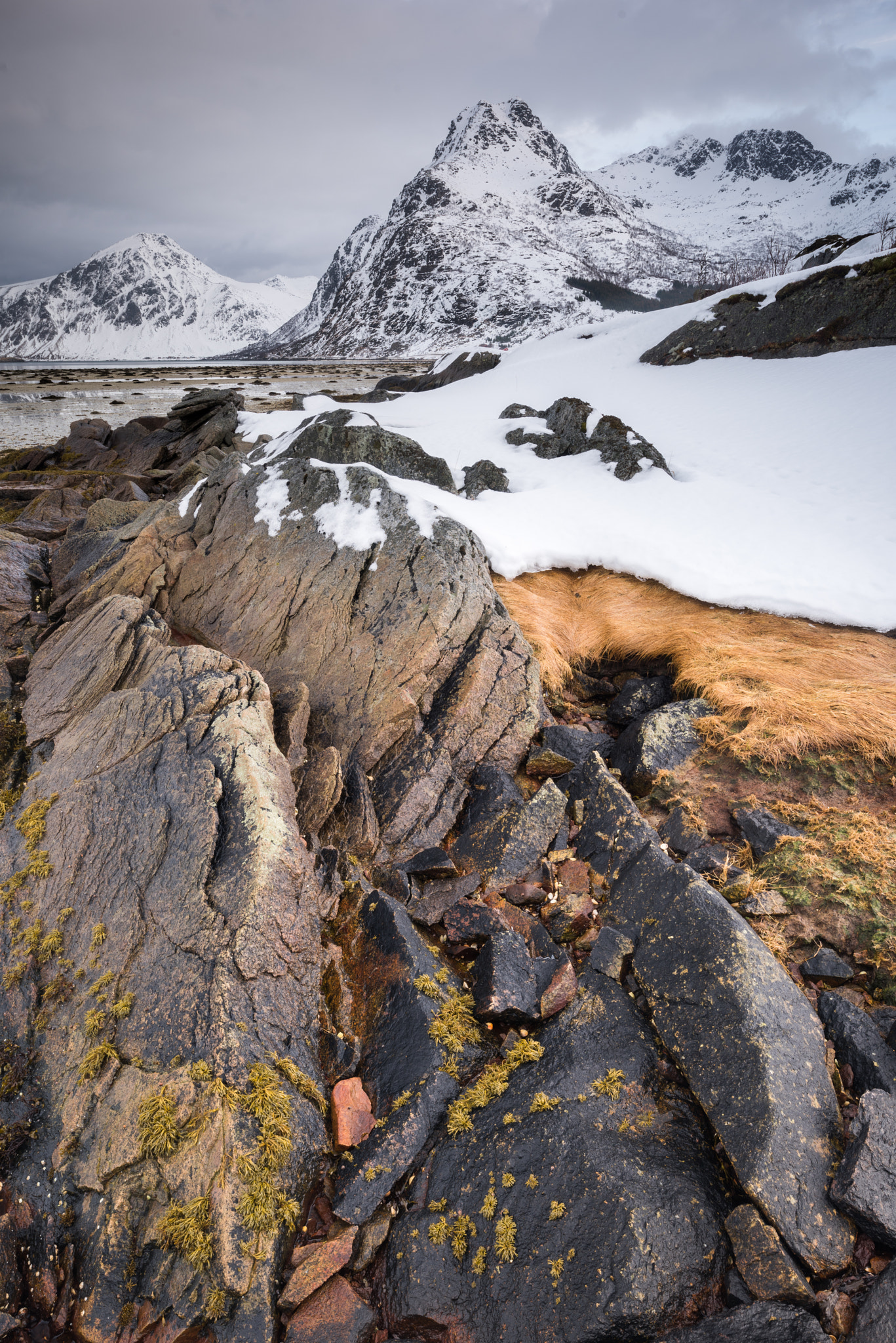 Nikon D810 + Nikon PC-E Nikkor 24mm F3.5D ED Tilt-Shift sample photo. Flakstad fjord banks #1 photography