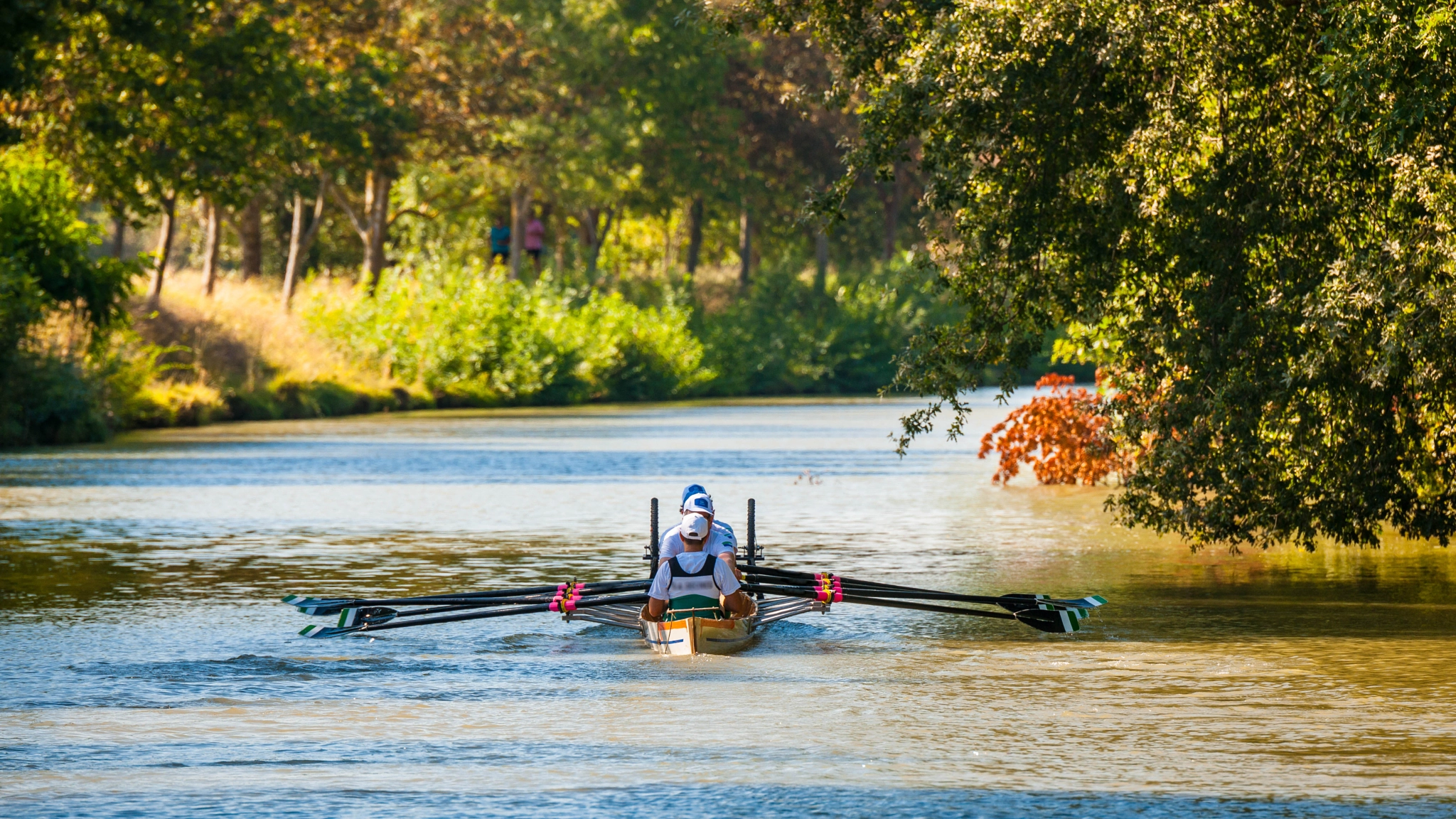 Nikon D3X sample photo. Rowing on the canal du midi photography