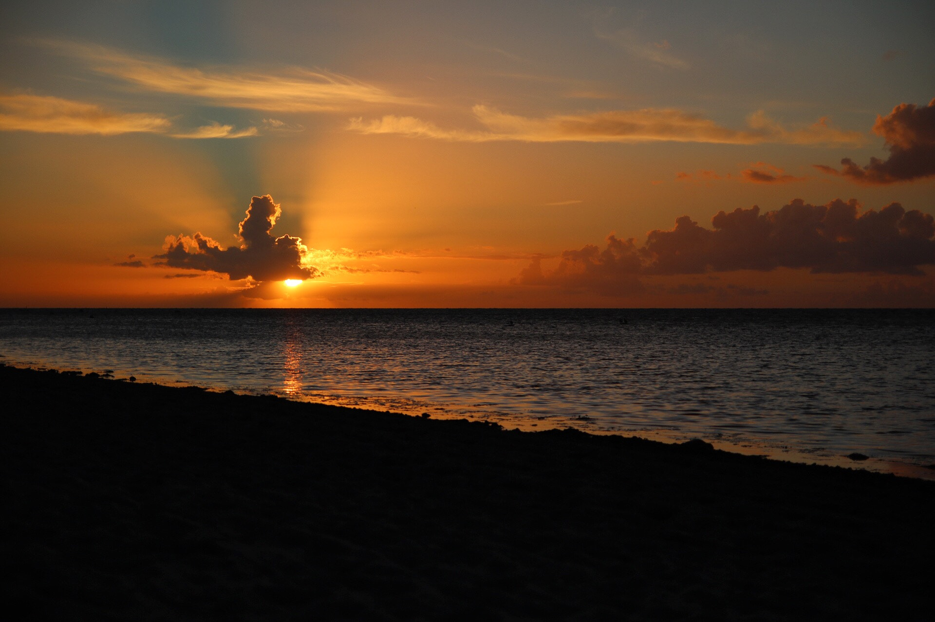 Canon EOS 750D (EOS Rebel T6i / EOS Kiss X8i) sample photo. Dream in the sunset photography