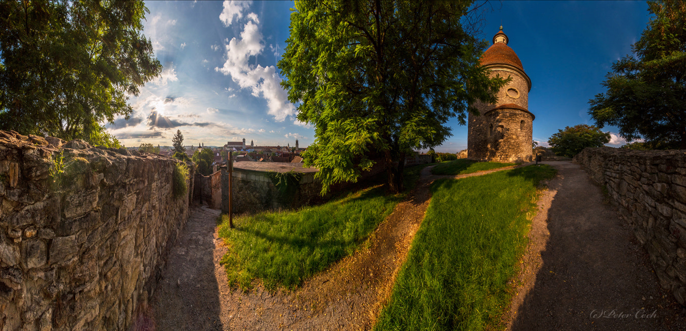 Sigma 12-24mm F4.5-5.6 II DG HSM sample photo. Tale about sommer morning. photography