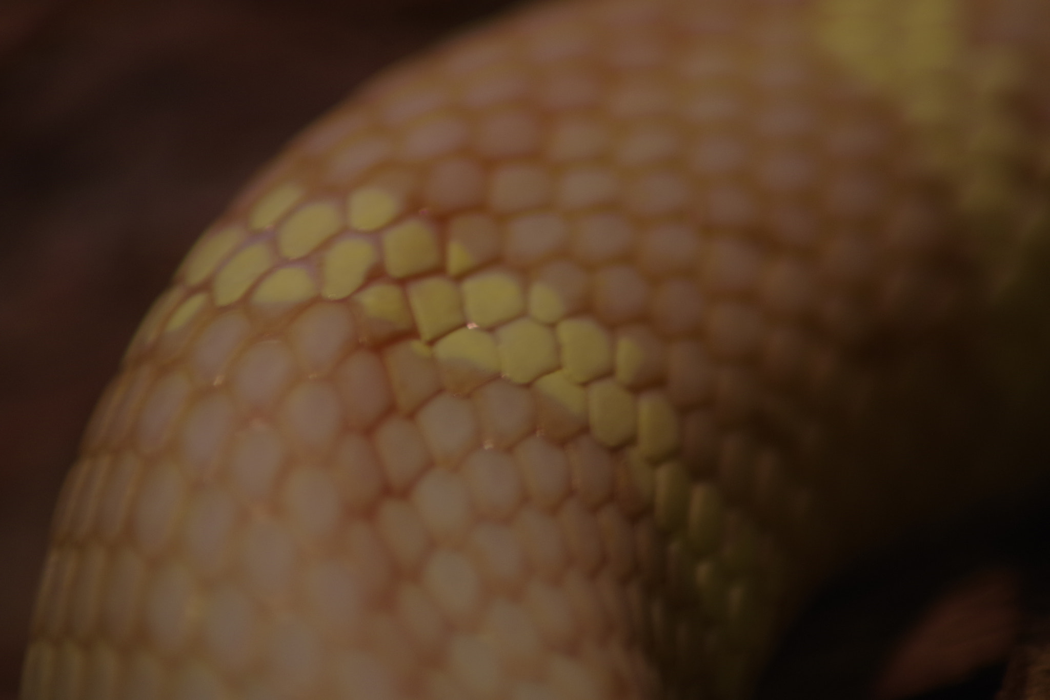 Tamron AF 70-300mm F4-5.6 Di LD Macro sample photo