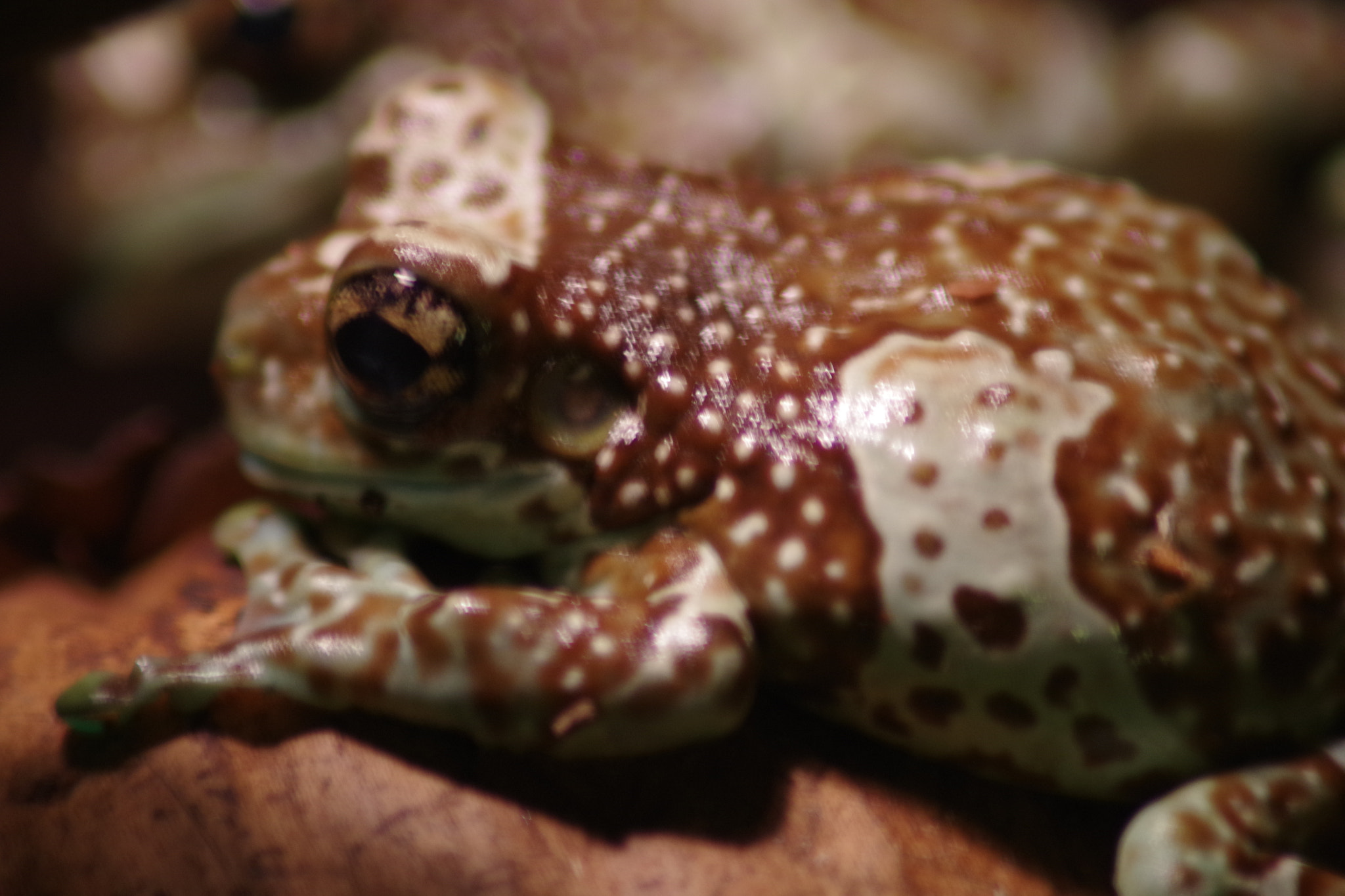 Tamron AF 70-300mm F4-5.6 Di LD Macro sample photo