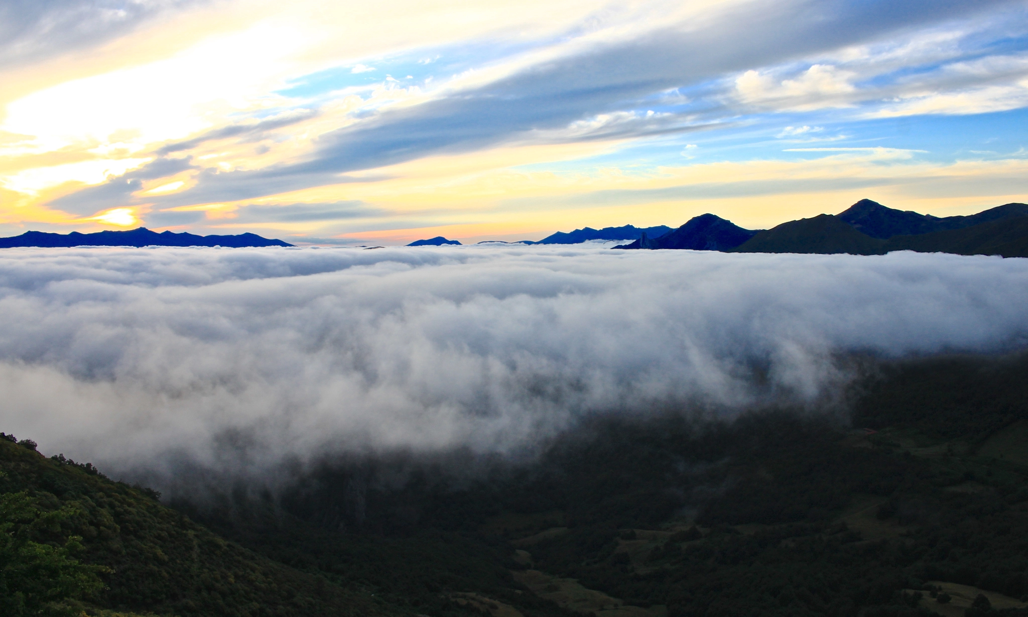 Canon EOS 500D (EOS Rebel T1i / EOS Kiss X3) sample photo. Misty morning photography