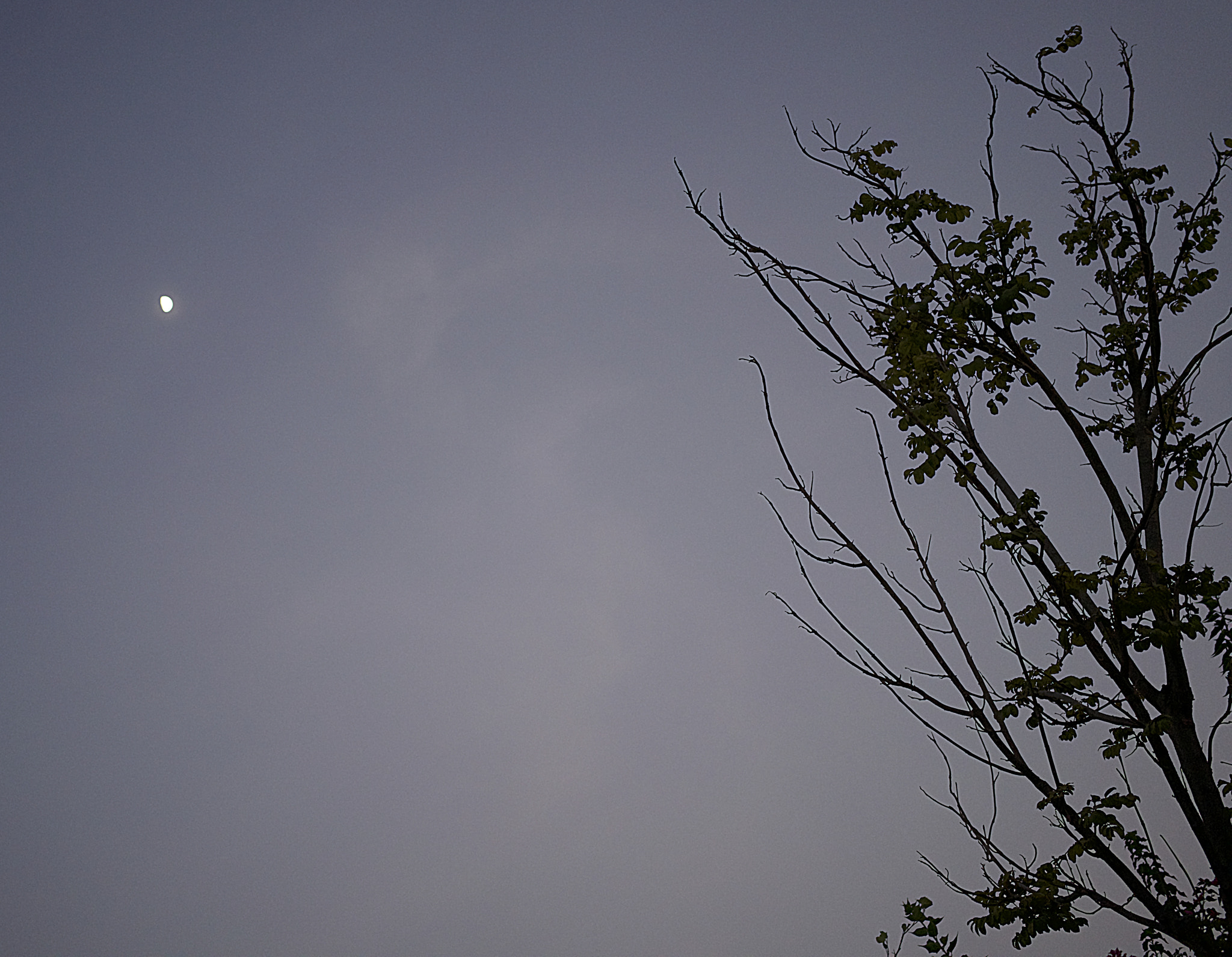 v2?sig=85a591af86bd080f20fe01743a60e342f572242b6207249c4ce860f813c91af3