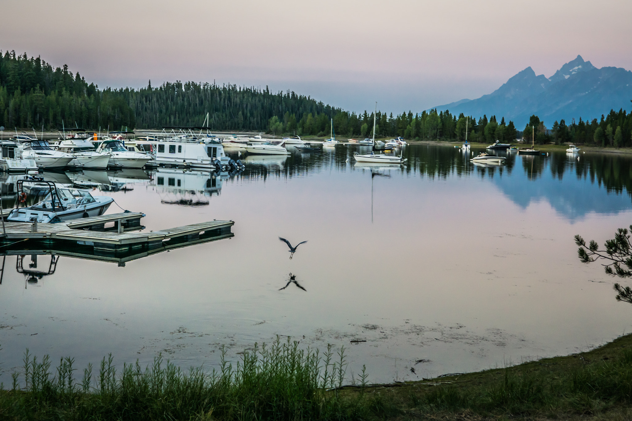 Sony FE 28mm F2 sample photo. Heron gone photography