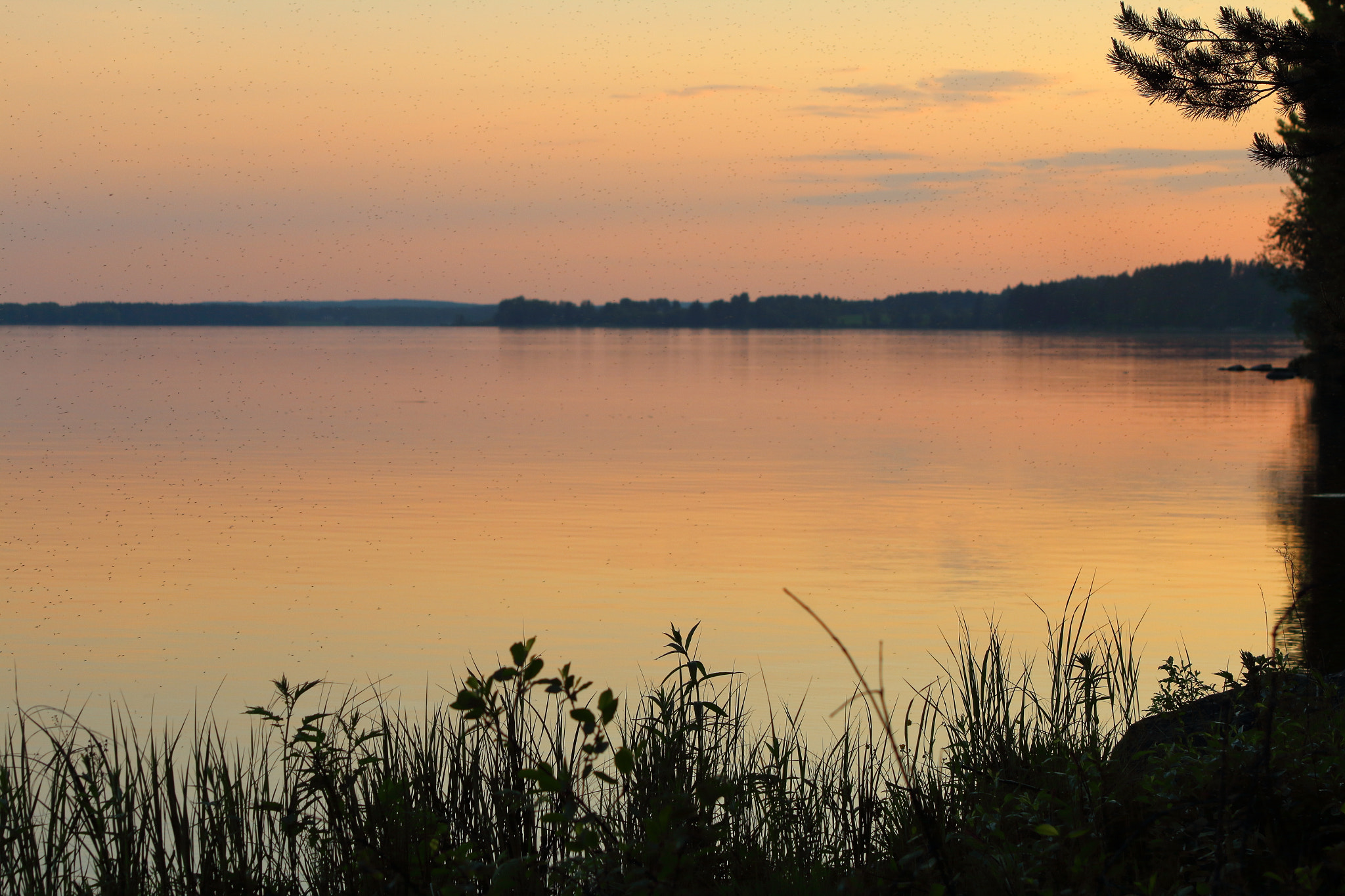 Canon EF 70-210mm f/3.5-4.5 USM sample photo. Mosquitos on the lake photography