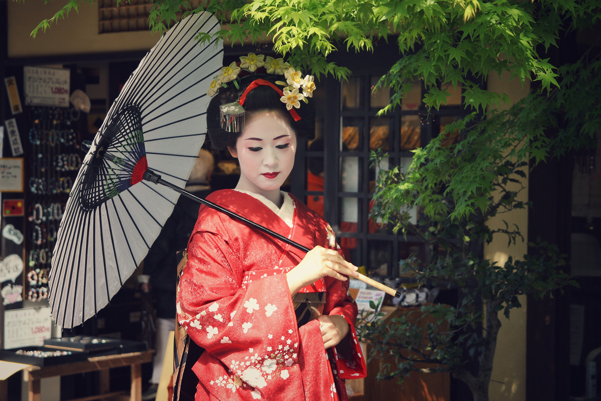 Canon 17-50mm sample photo