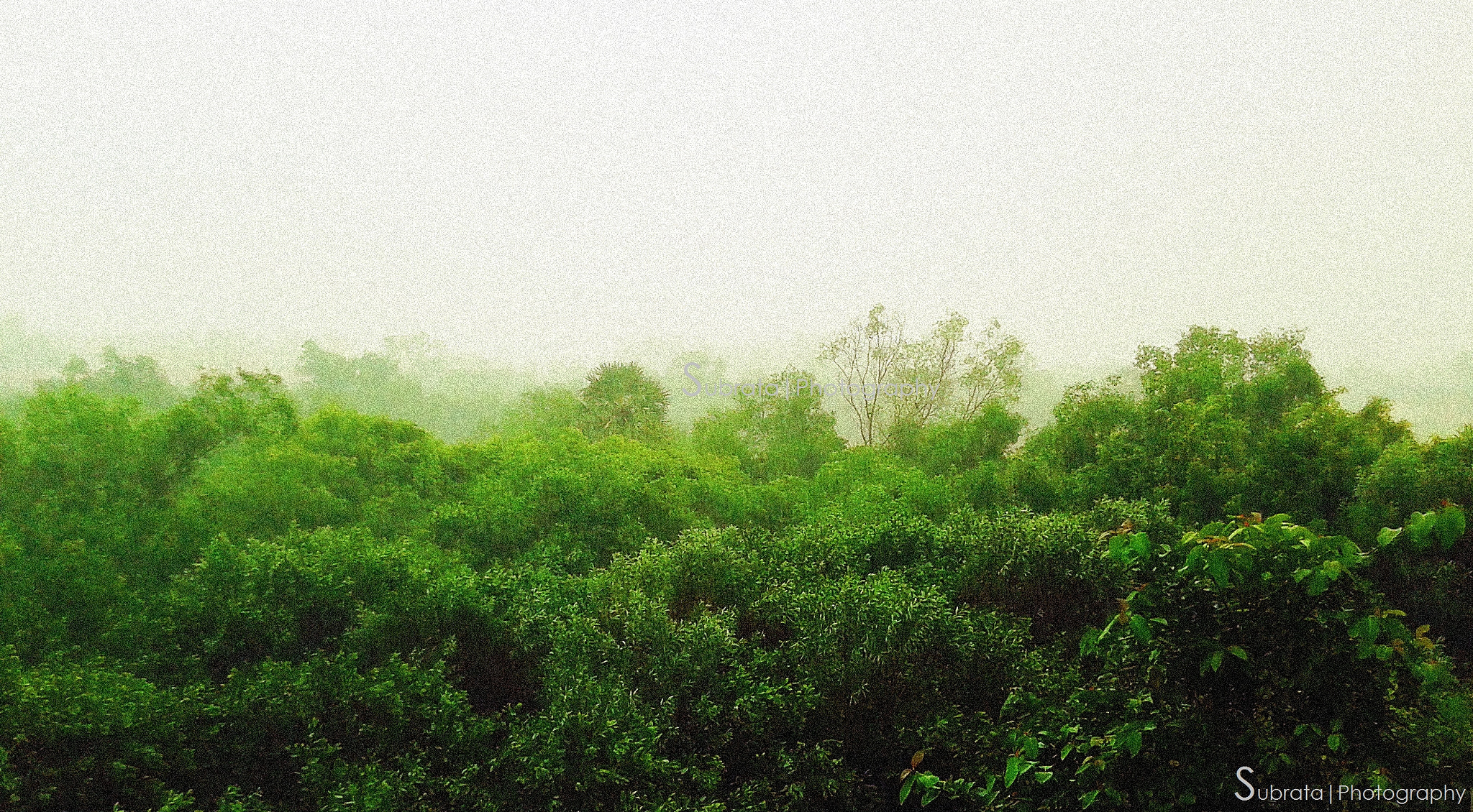 Samsung Galaxy Fit sample photo. Rainy day photography