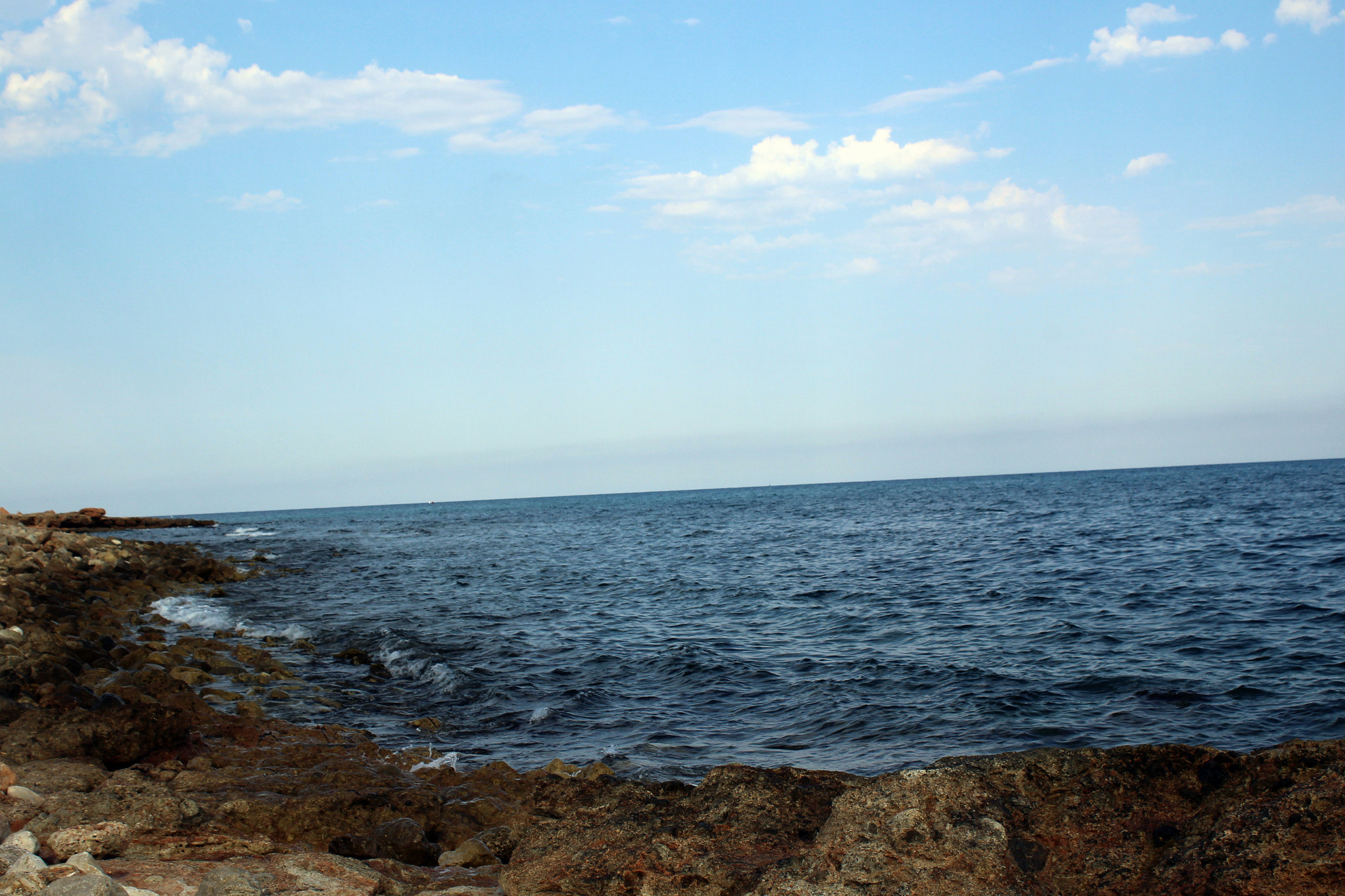 Canon EF-S 18-55mm F3.5-5.6 IS sample photo. Summertime photography