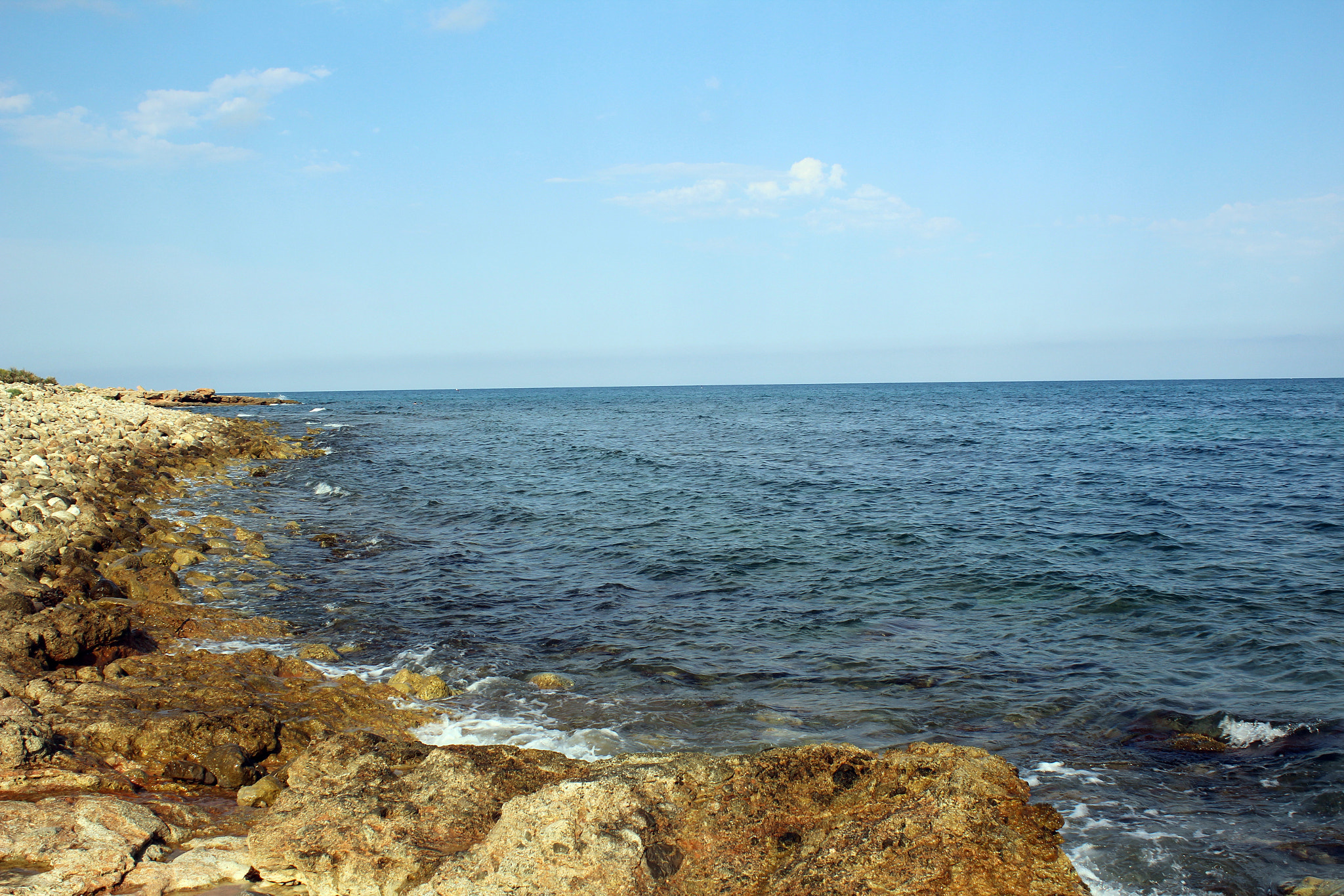 Canon EF-S 18-55mm F3.5-5.6 IS sample photo. Summertime photography