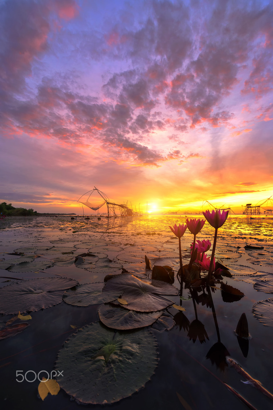Tamron SP 15-30mm F2.8 Di VC USD sample photo. Good morning pakpra phattalung photography