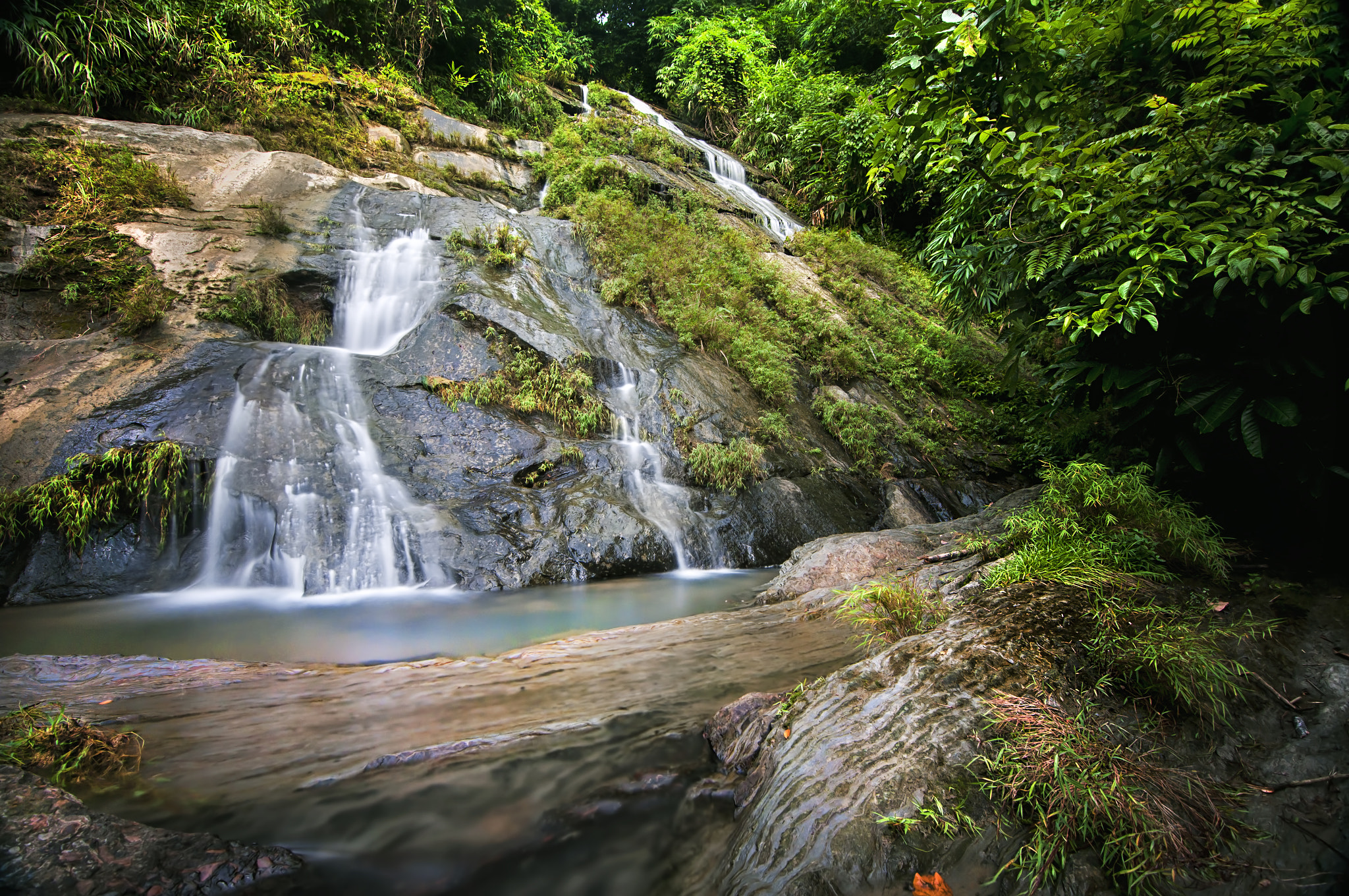Nikon D300S sample photo. Beauty in nature photography